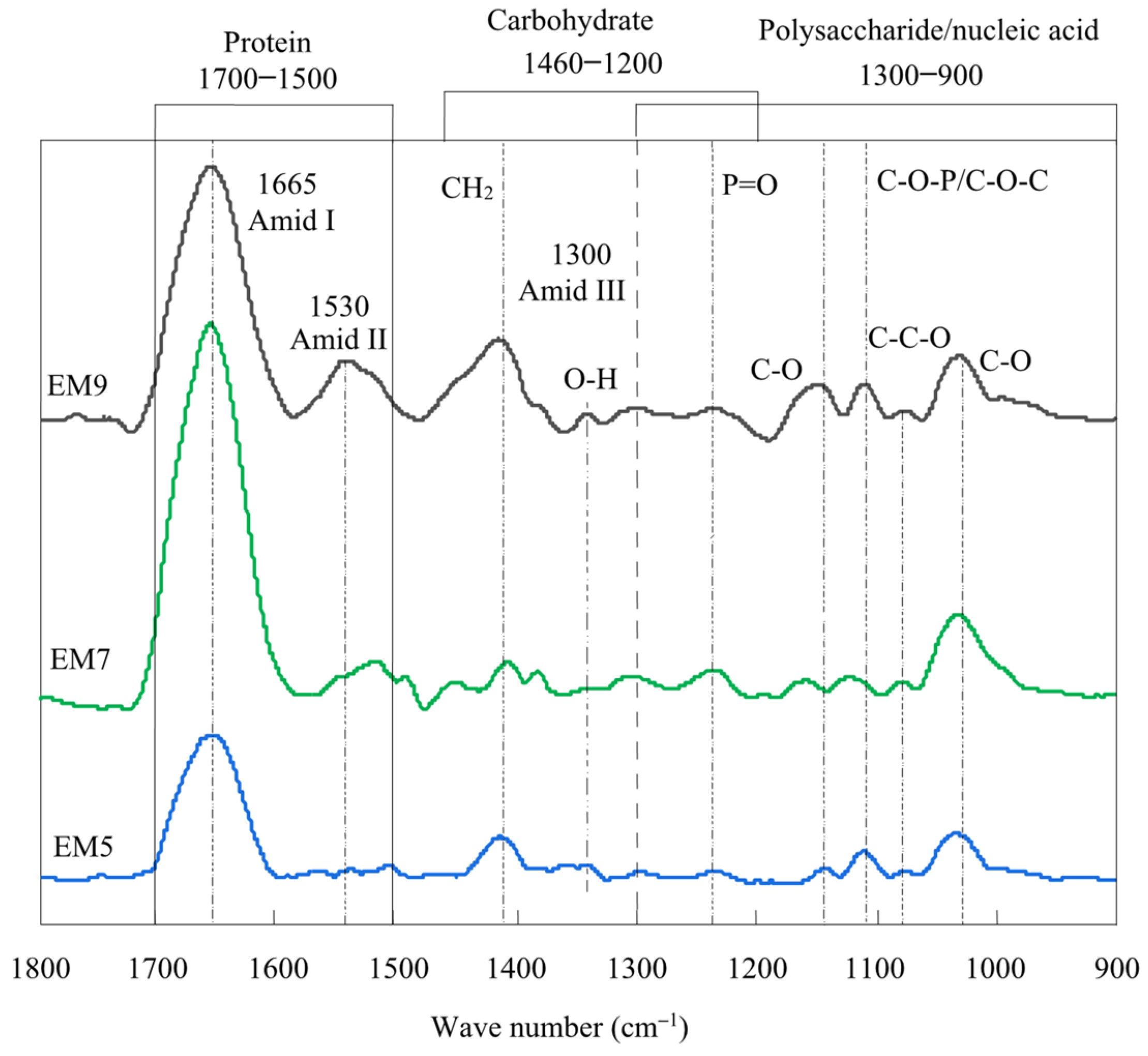Sustainability 16 05458 g001