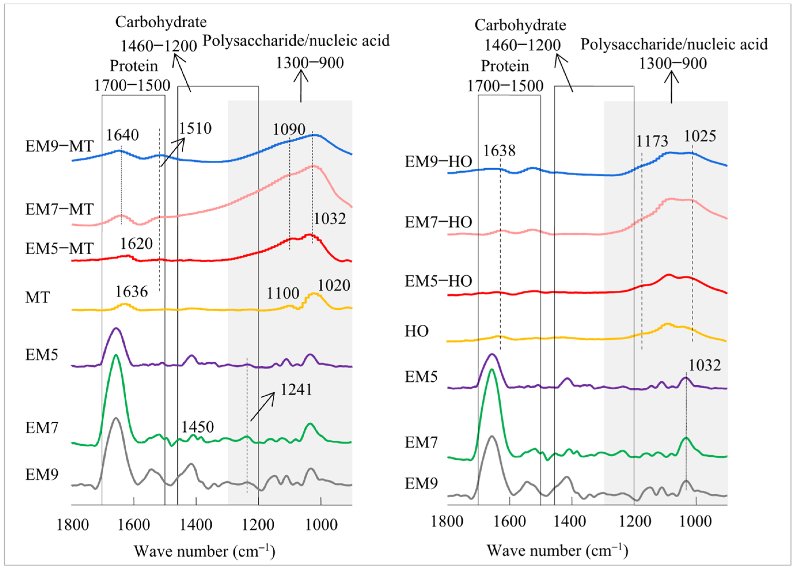 Sustainability 16 05458 g005