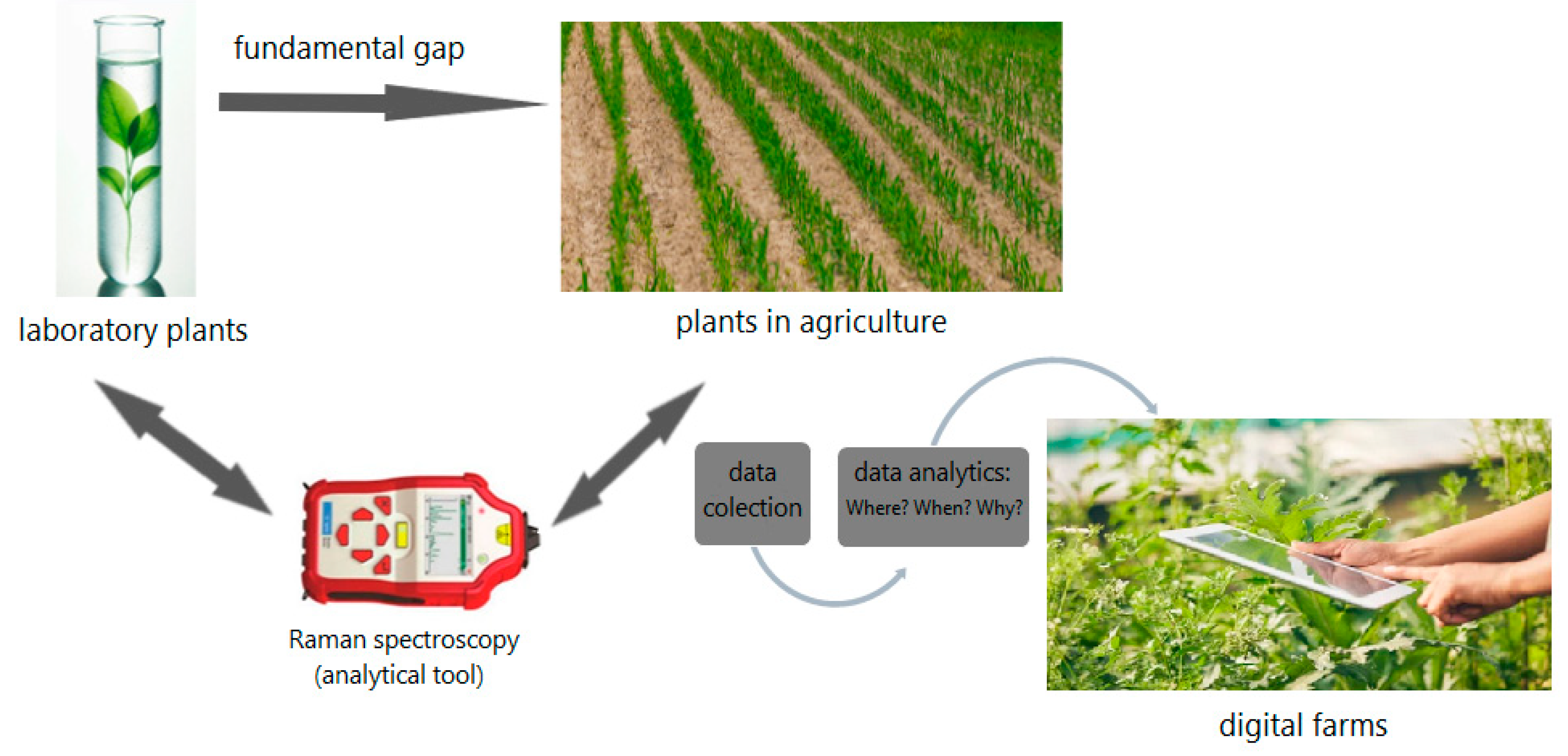 Sustainability 16 05474 g001