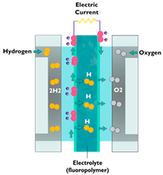 Sustainability 16 05569 i007