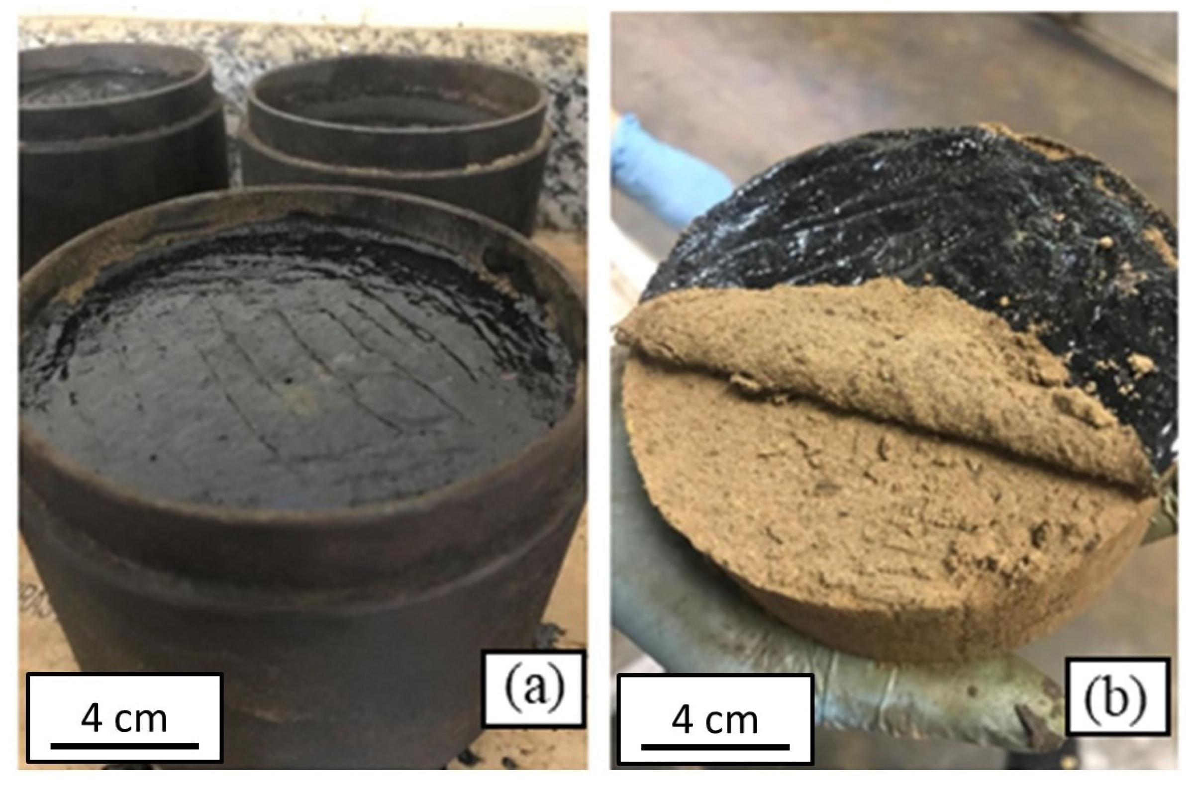 Sustainability 16 05570 g011