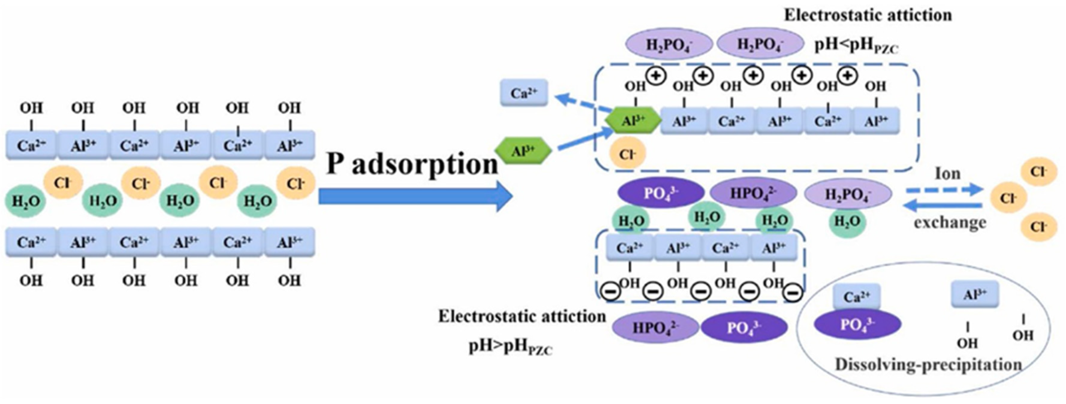 Sustainability 16 05577 g010