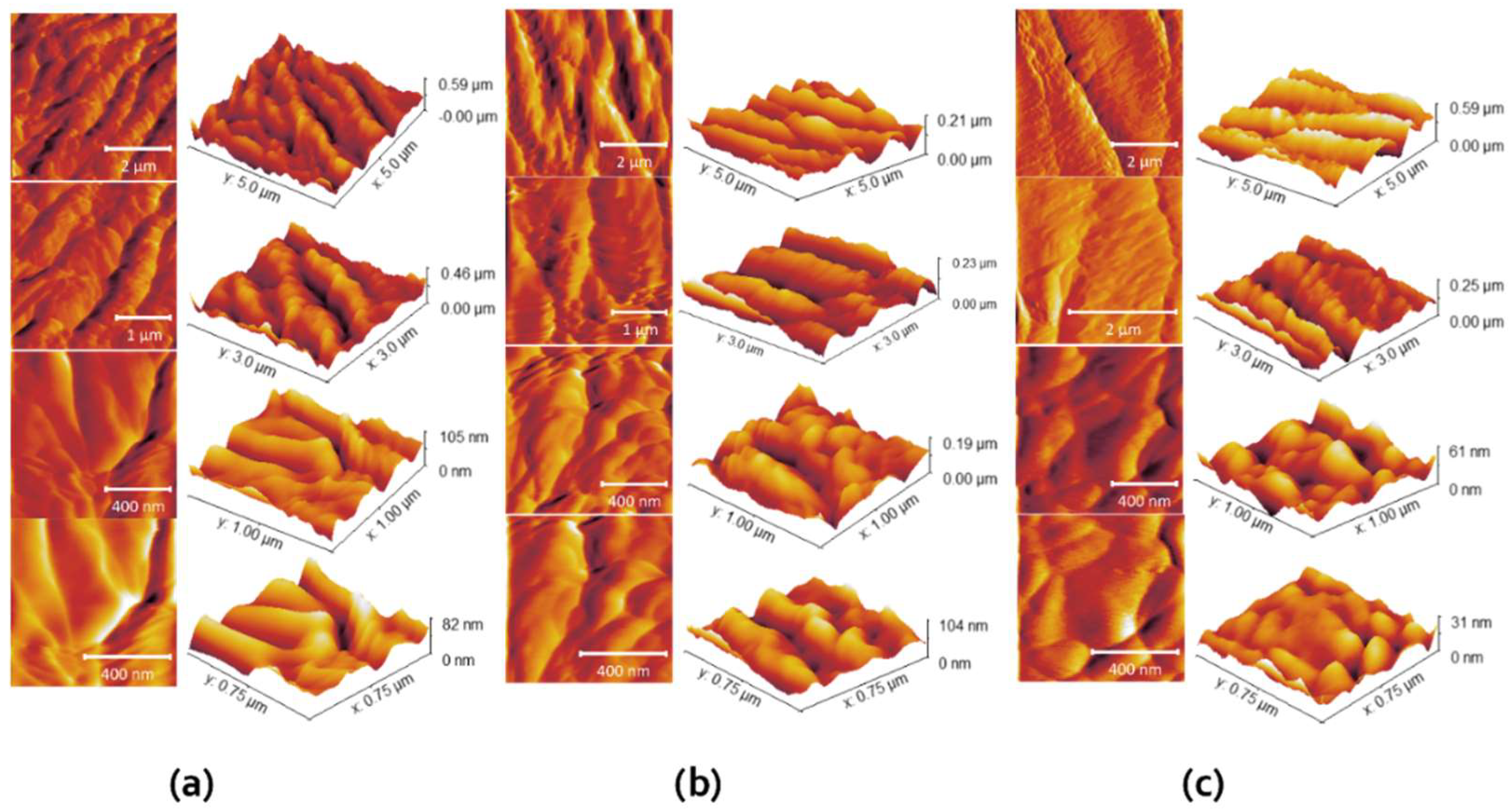 Sustainability 16 05637 g003