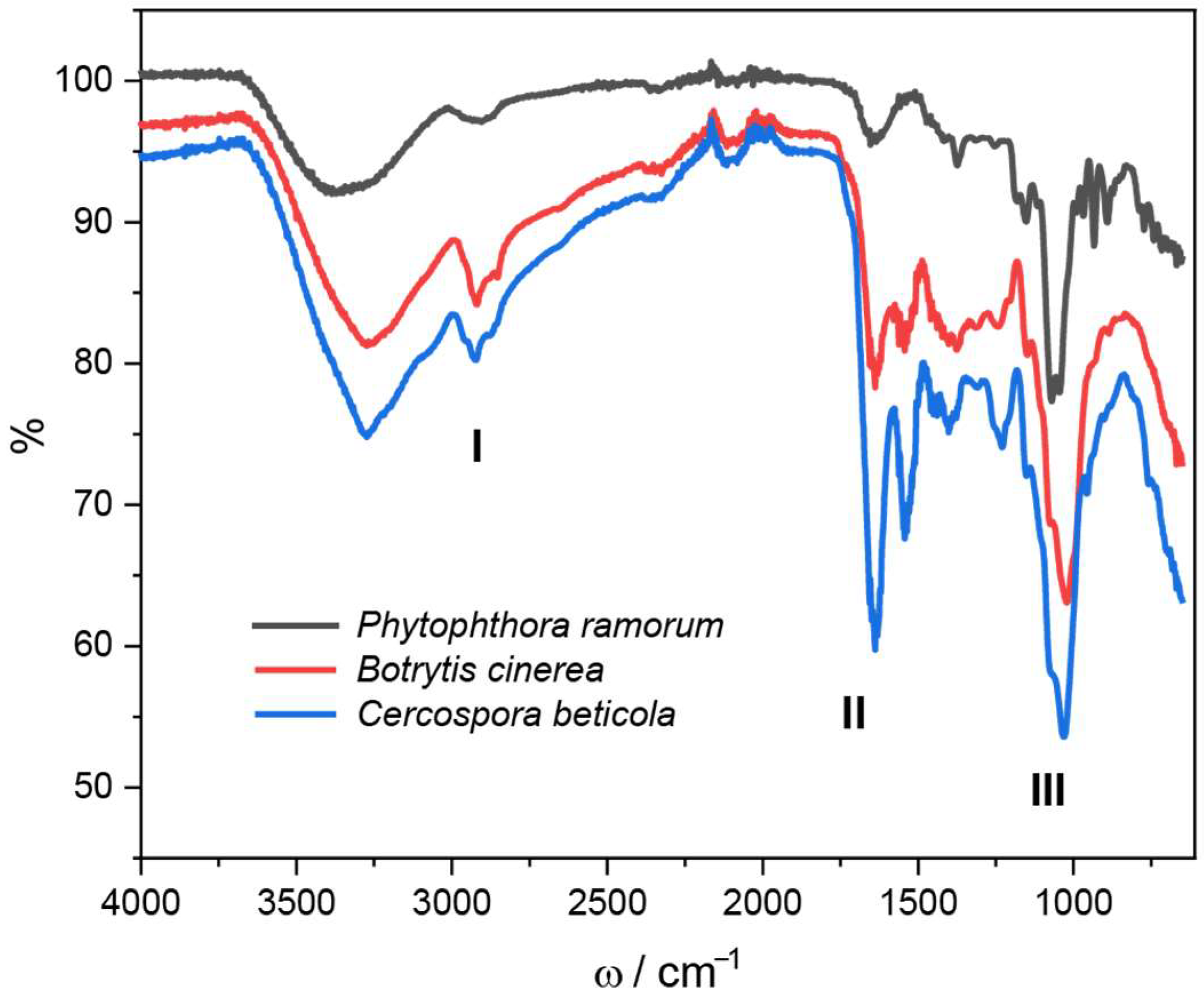 Sustainability 16 05637 g006