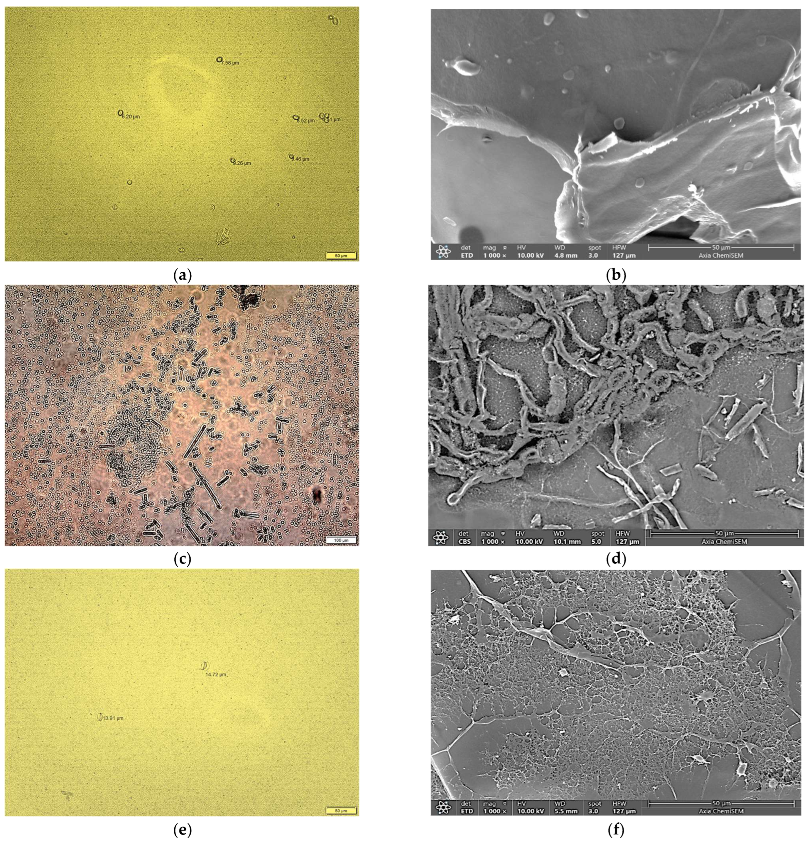 Sustainability 16 05637 g007