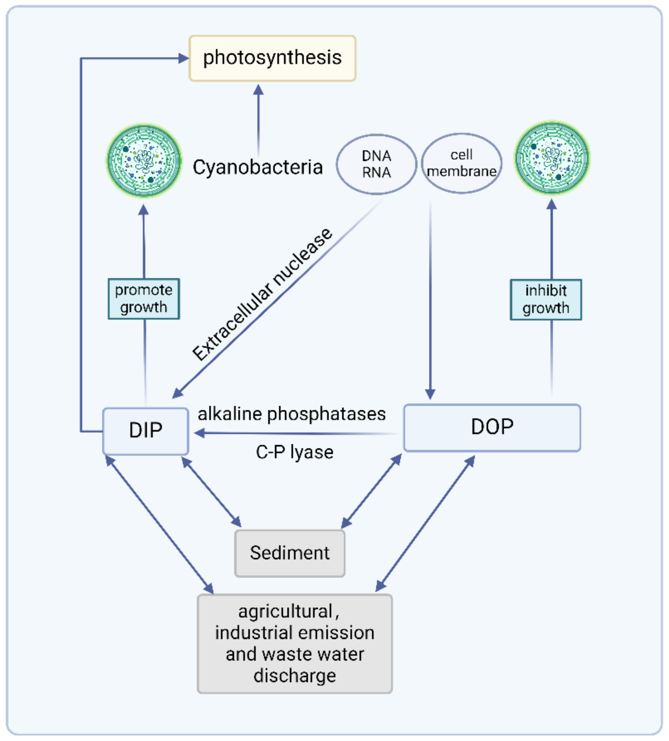 Sustainability 16 05642 g003