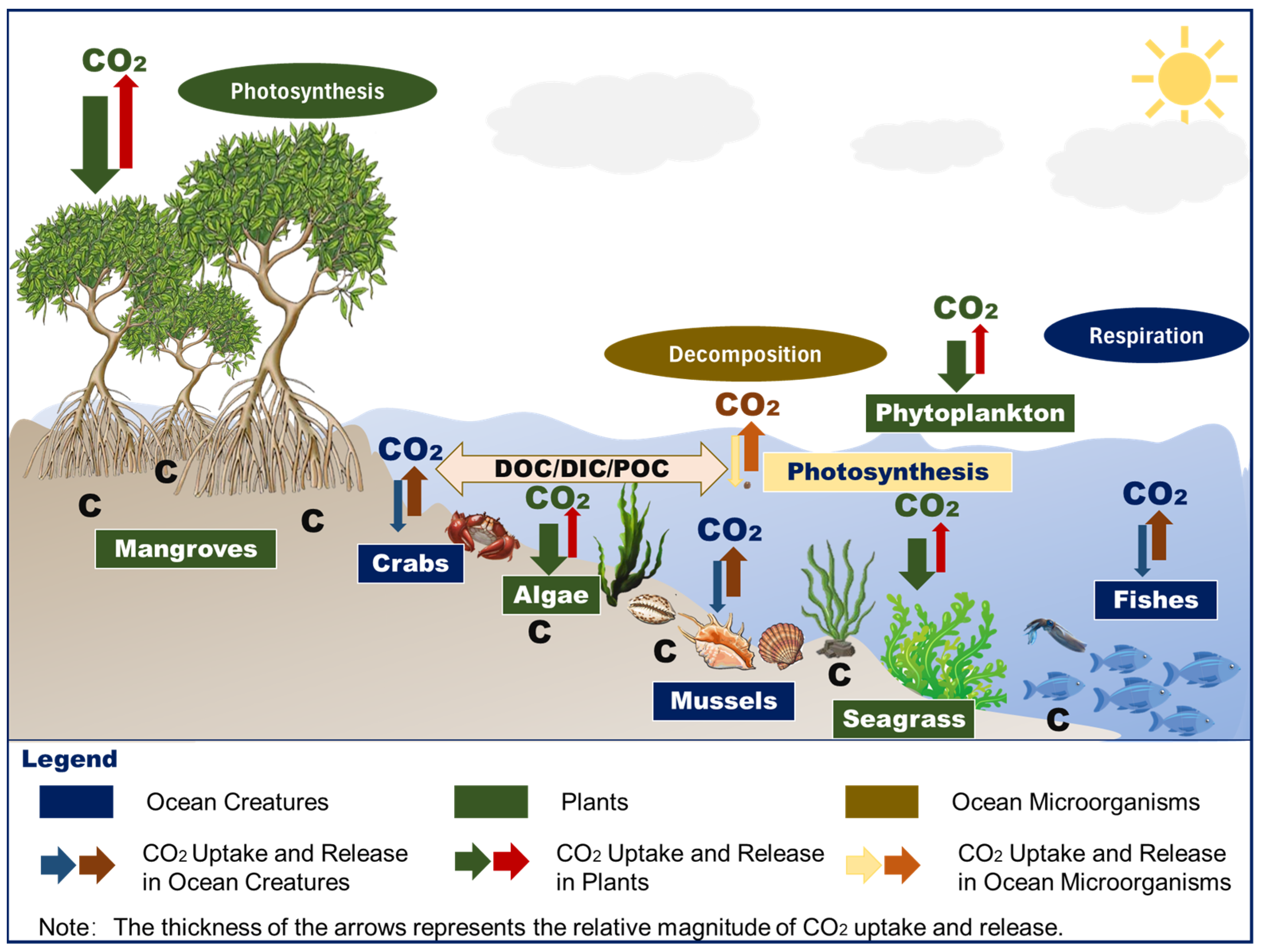 Sustainability 16 05673 g001