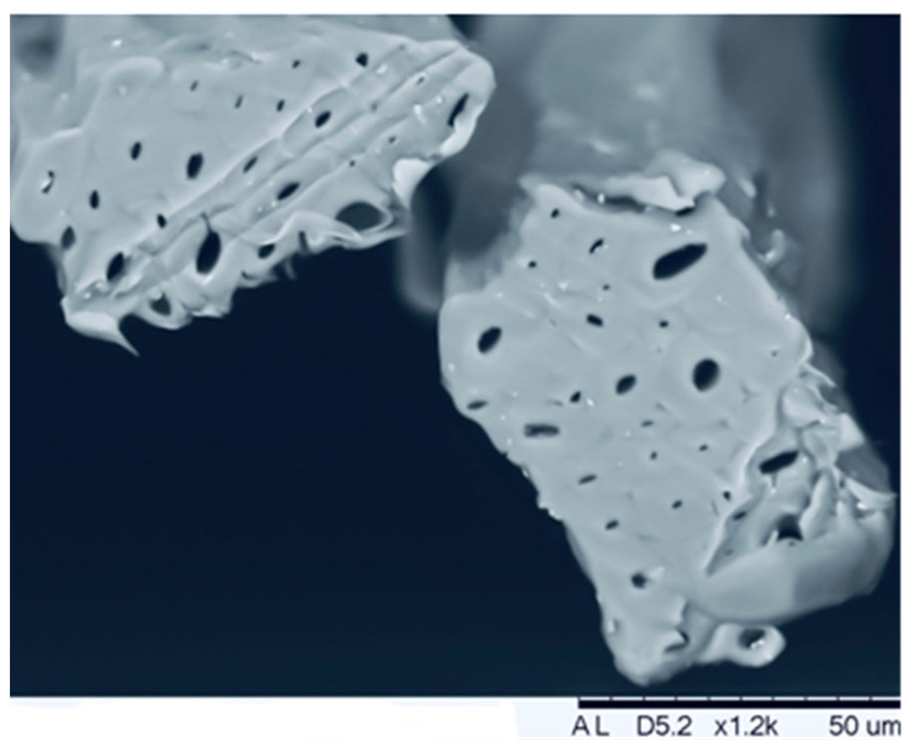 Sustainability 16 05675 g001