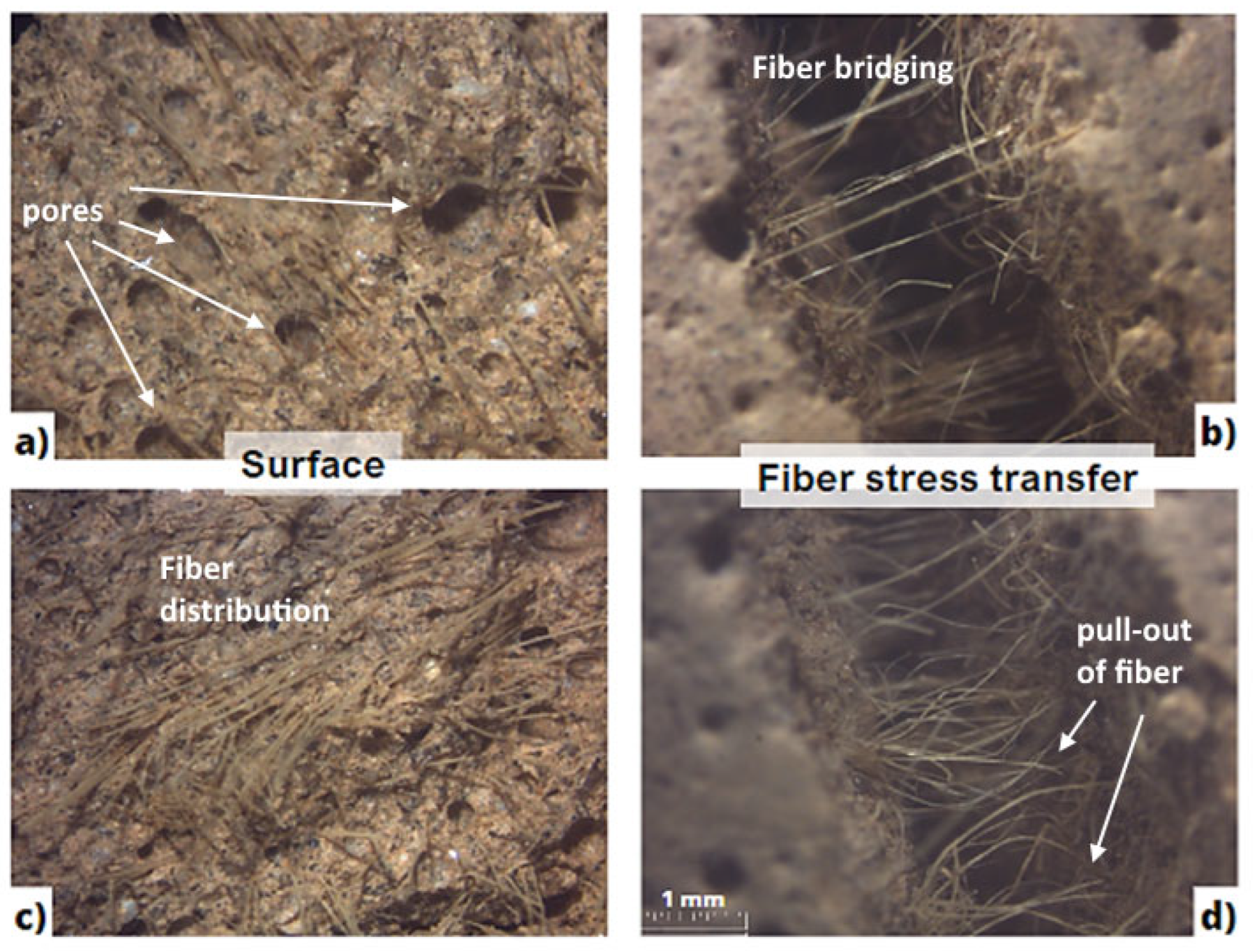 Sustainability 16 05675 g013
