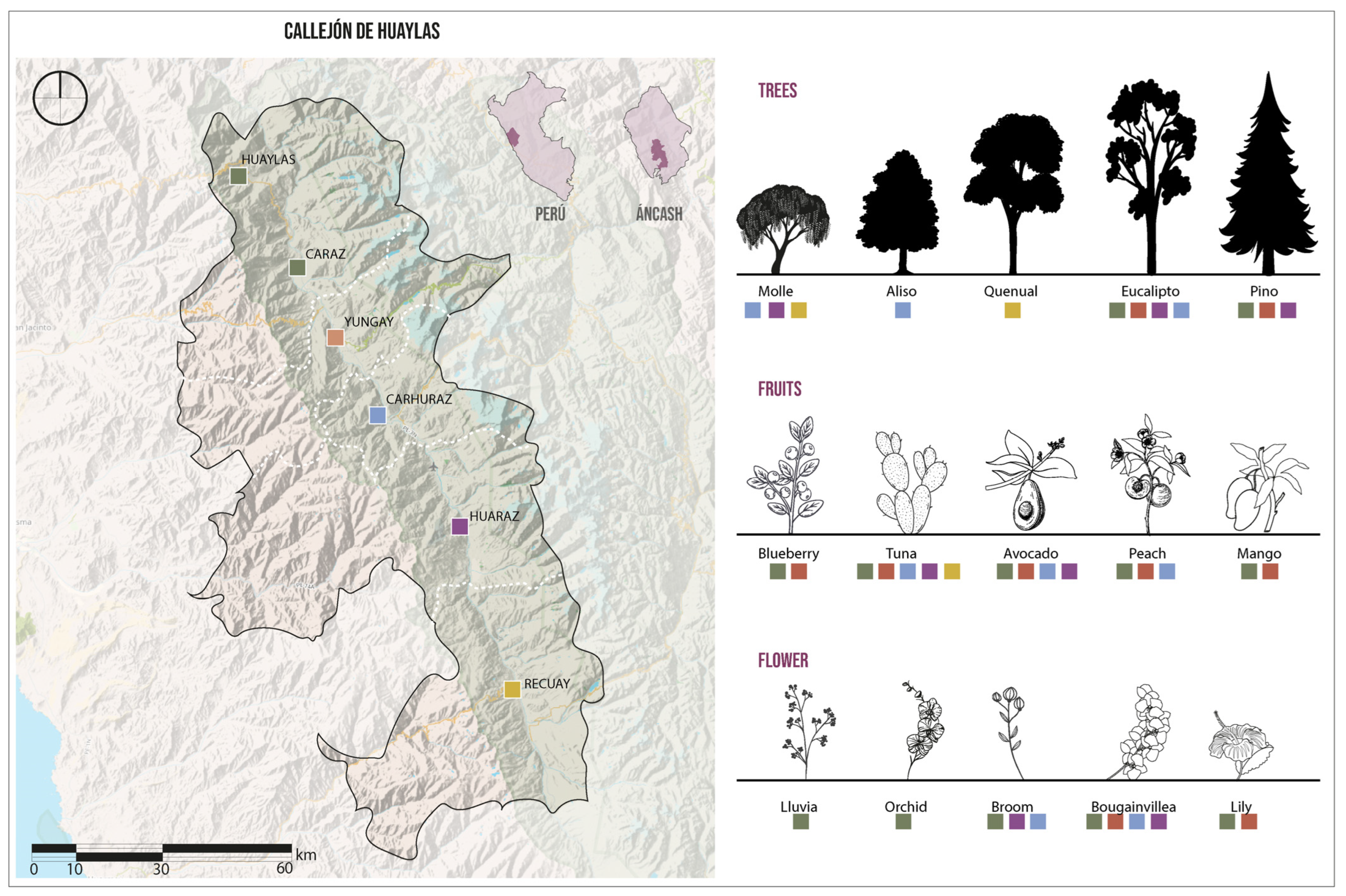Sustainability 16 05744 g011
