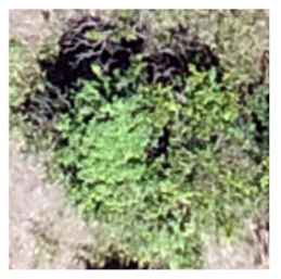 Sustainability 16 05748 i005