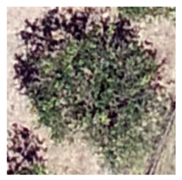 Sustainability 16 05748 i007