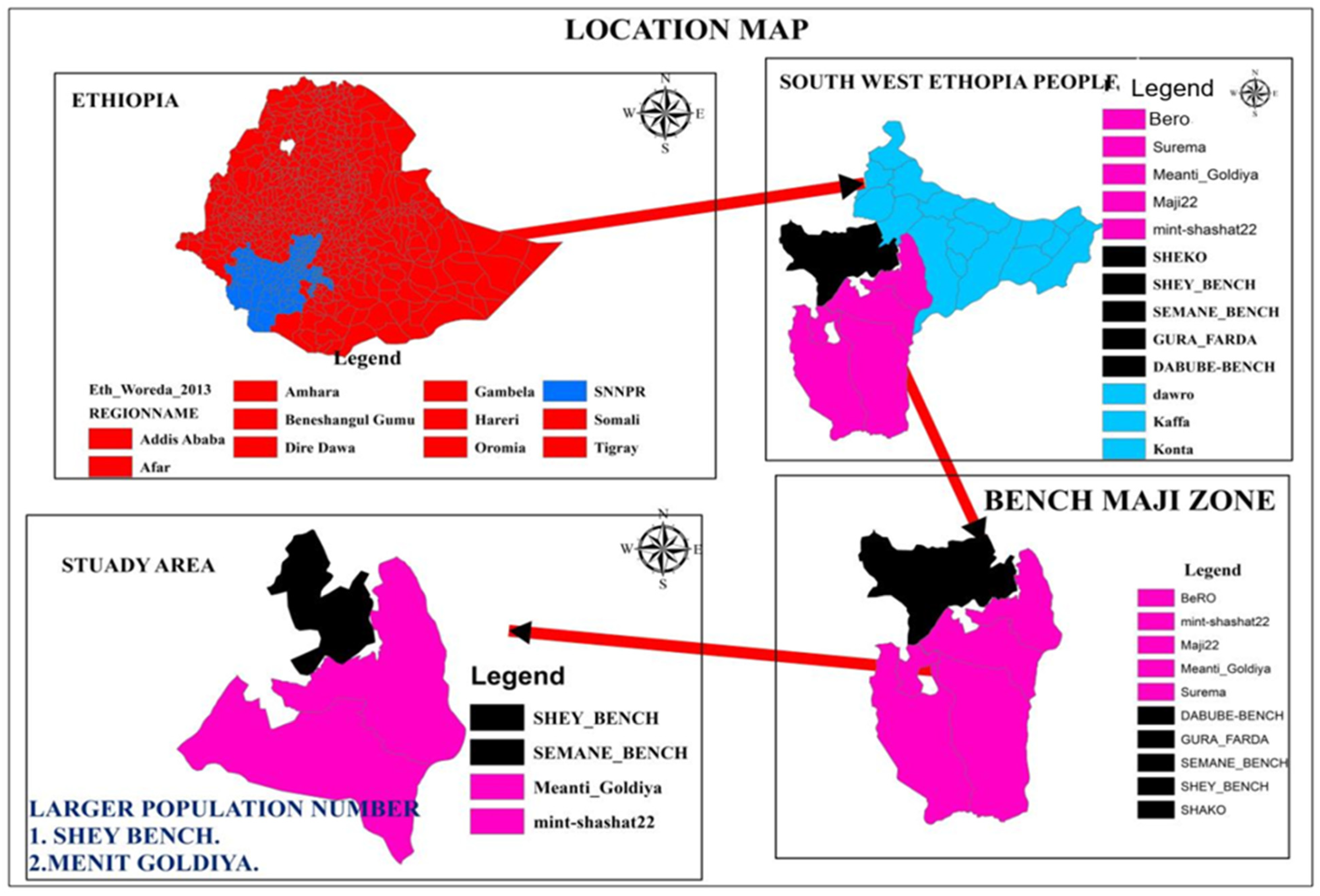 Sustainability 16 05766 g001