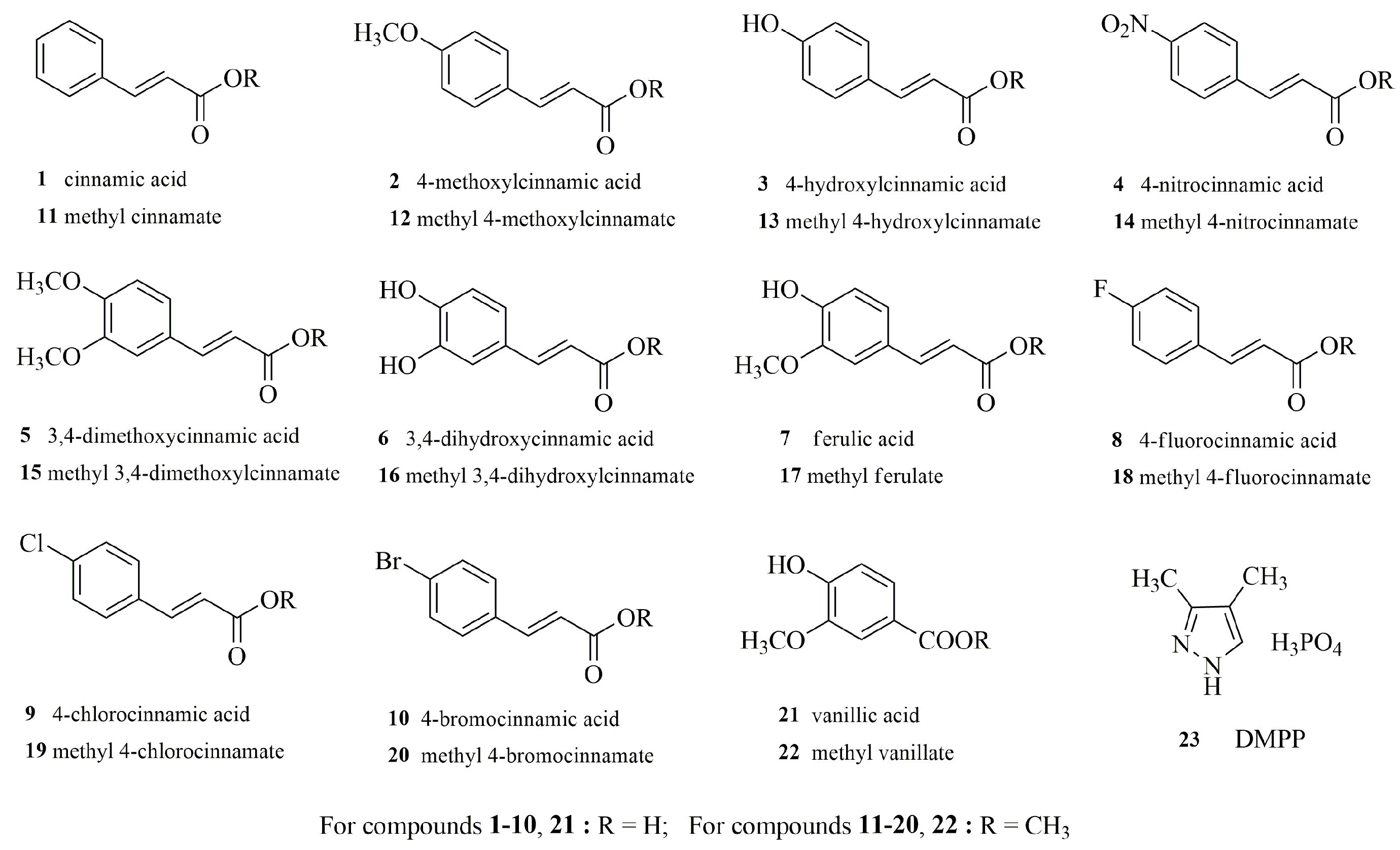 Sustainability 16 05791 g001