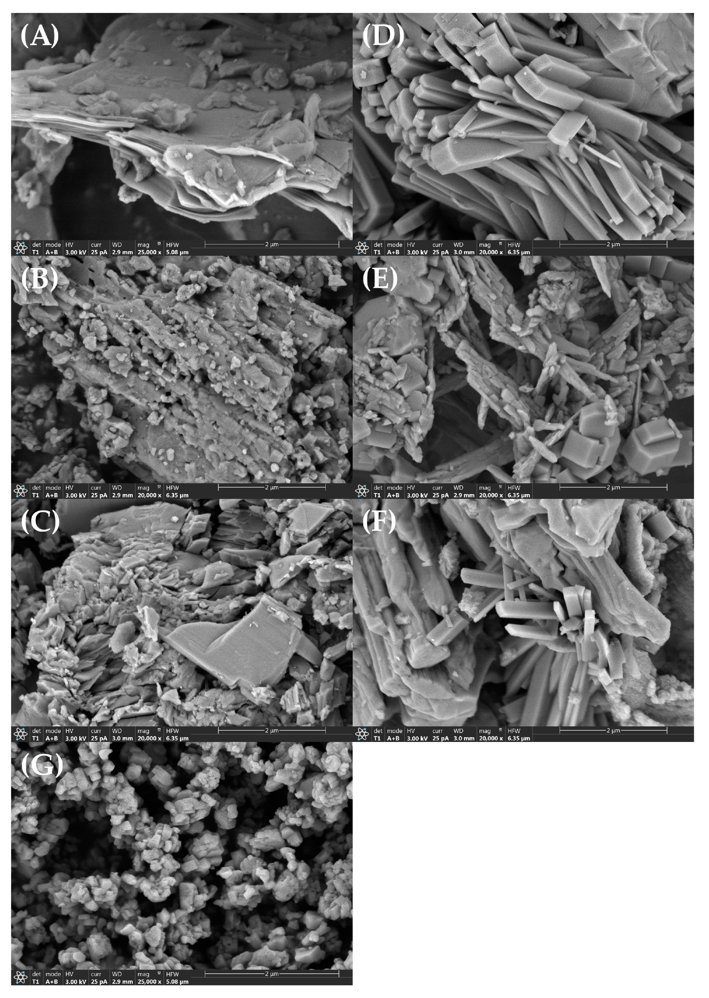Sustainability 16 05910 g005