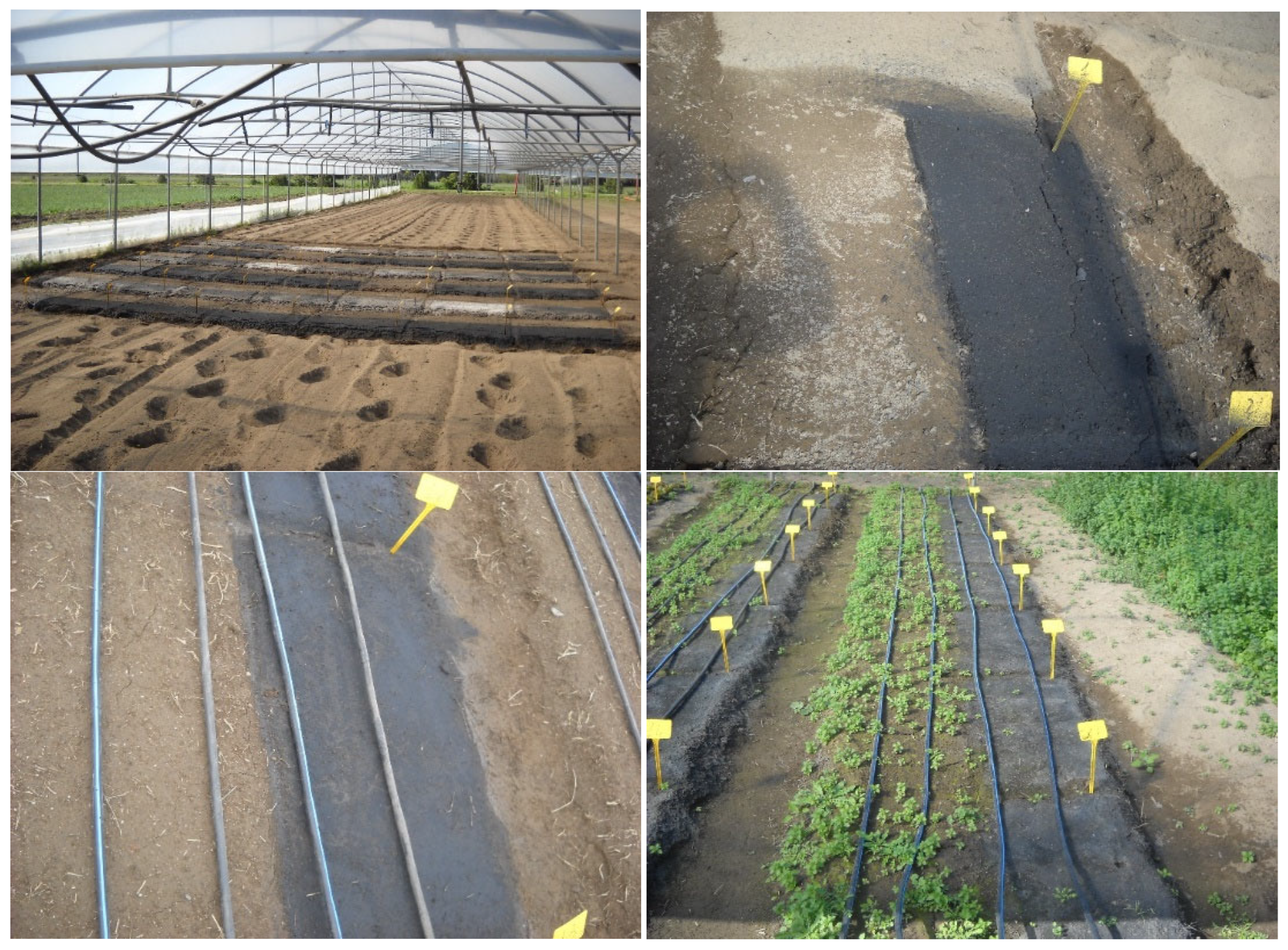 Sustainability 16 05973 g001