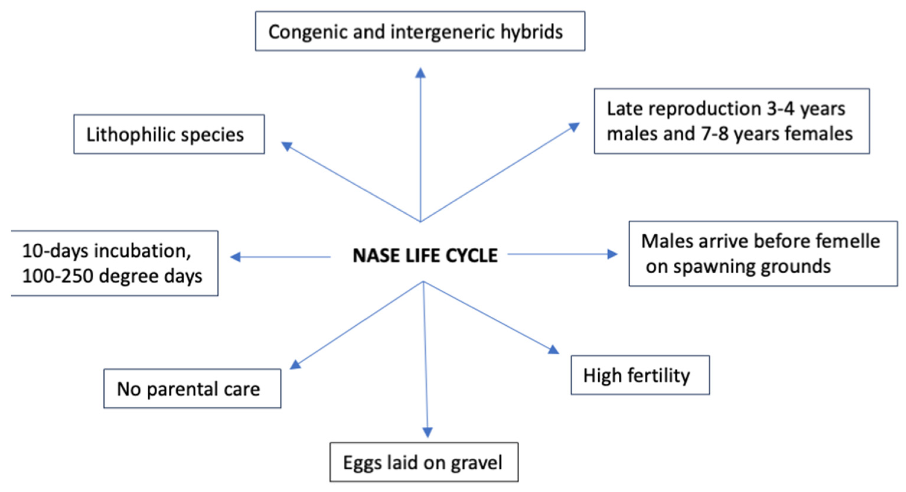 Sustainability 16 06007 g003