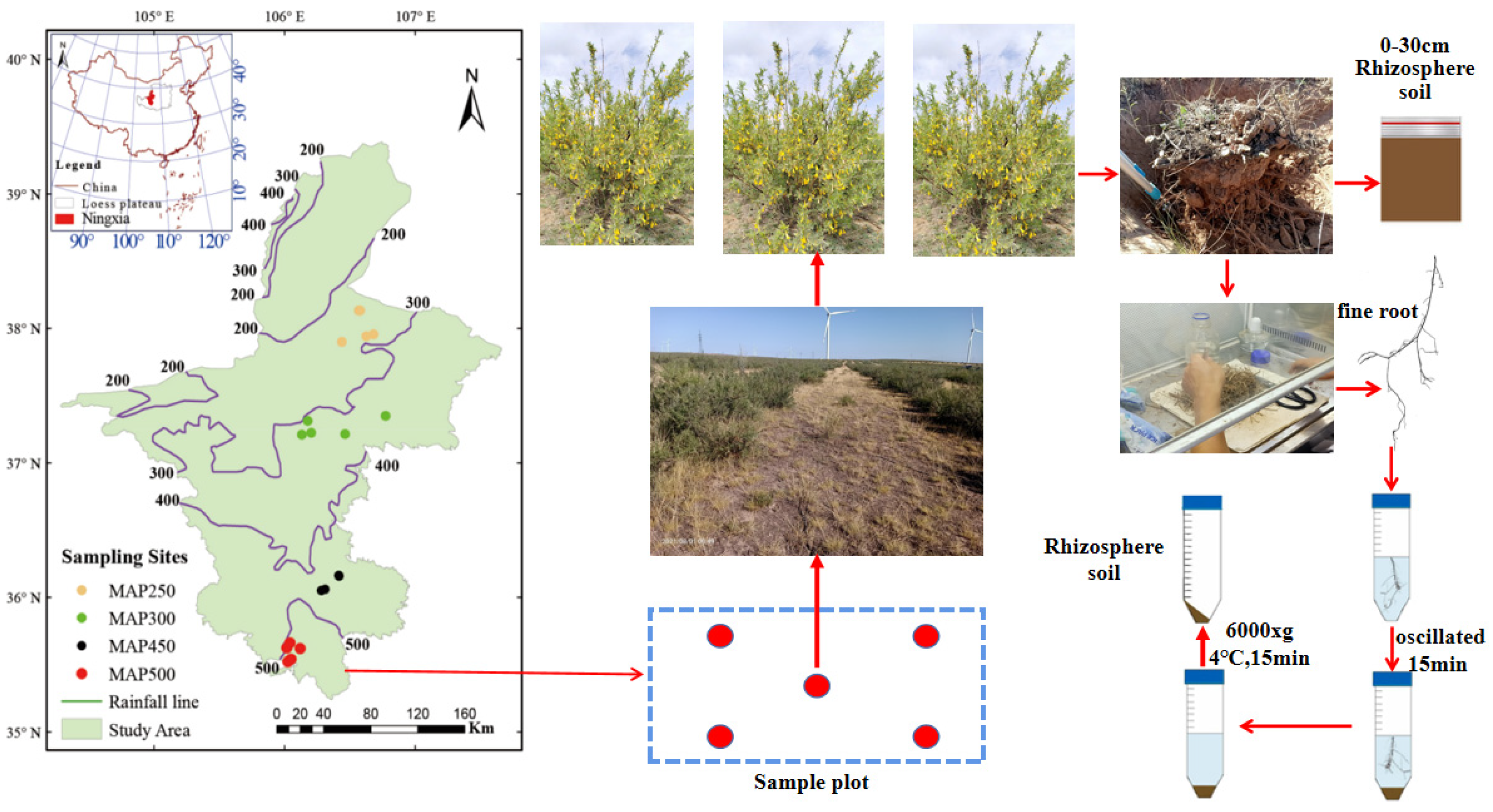 Sustainability 16 06032 g001