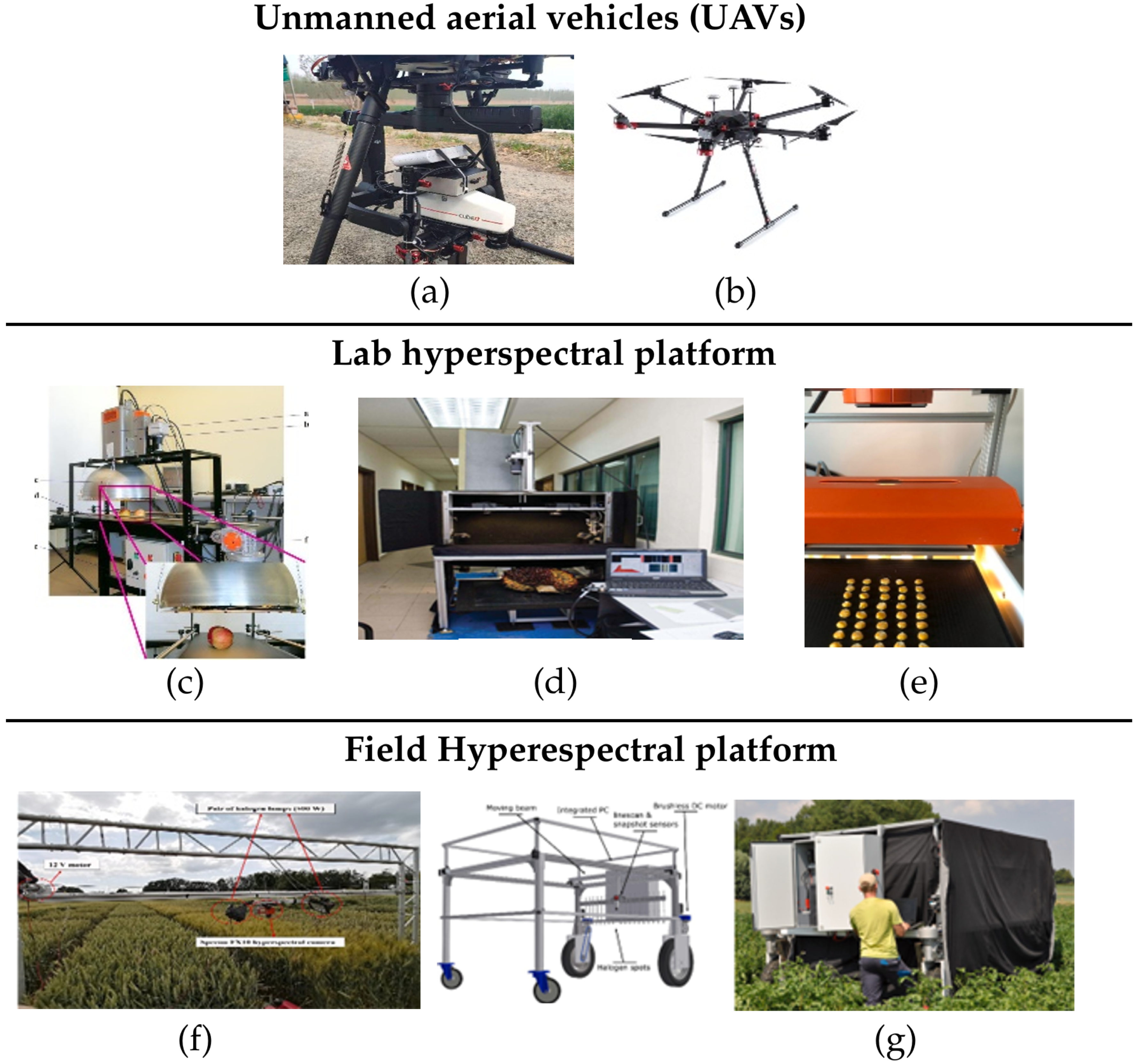 Sustainability 16 06064 g006
