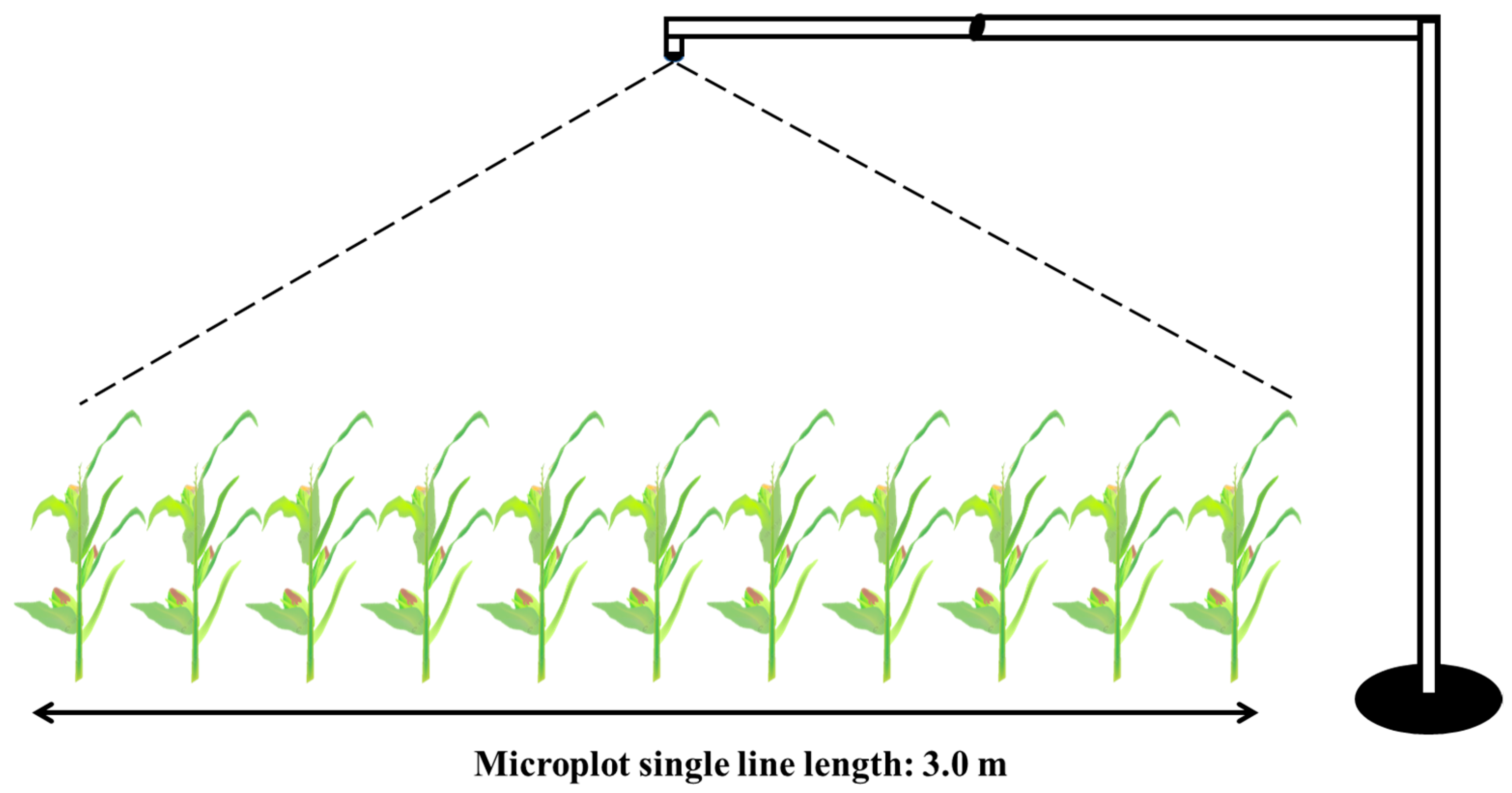 Sustainability 16 06129 g001