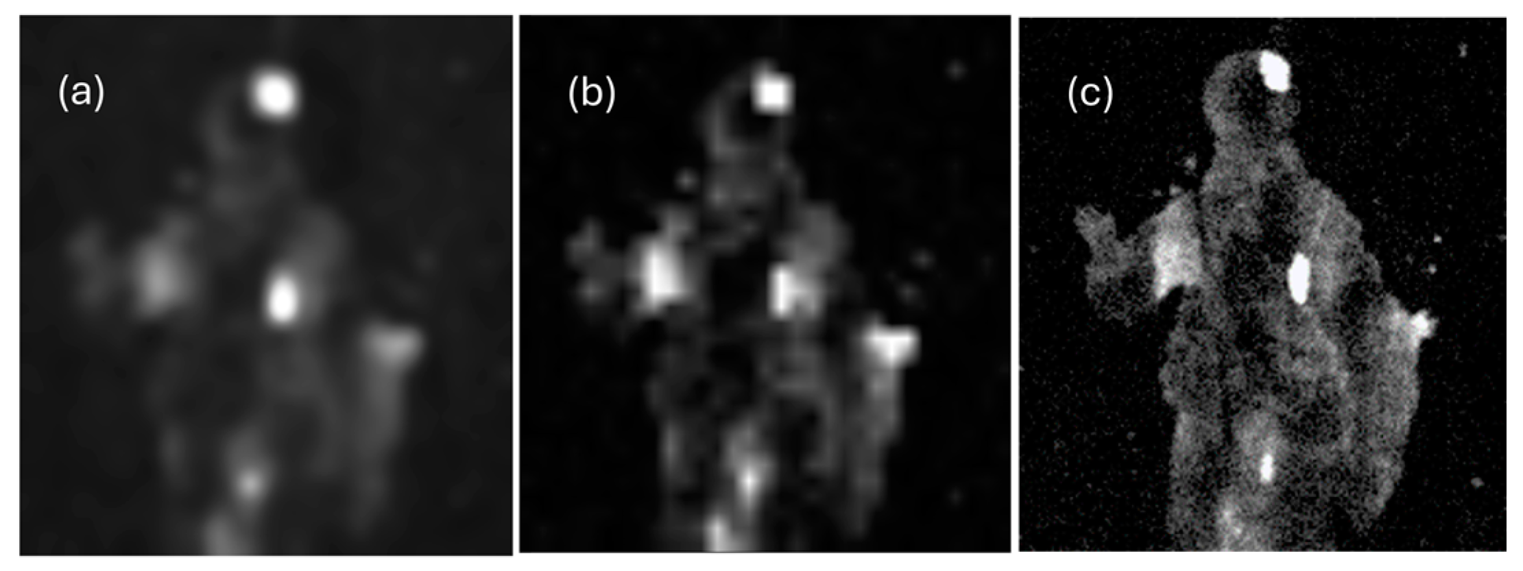 Sustainability 16 06135 g008