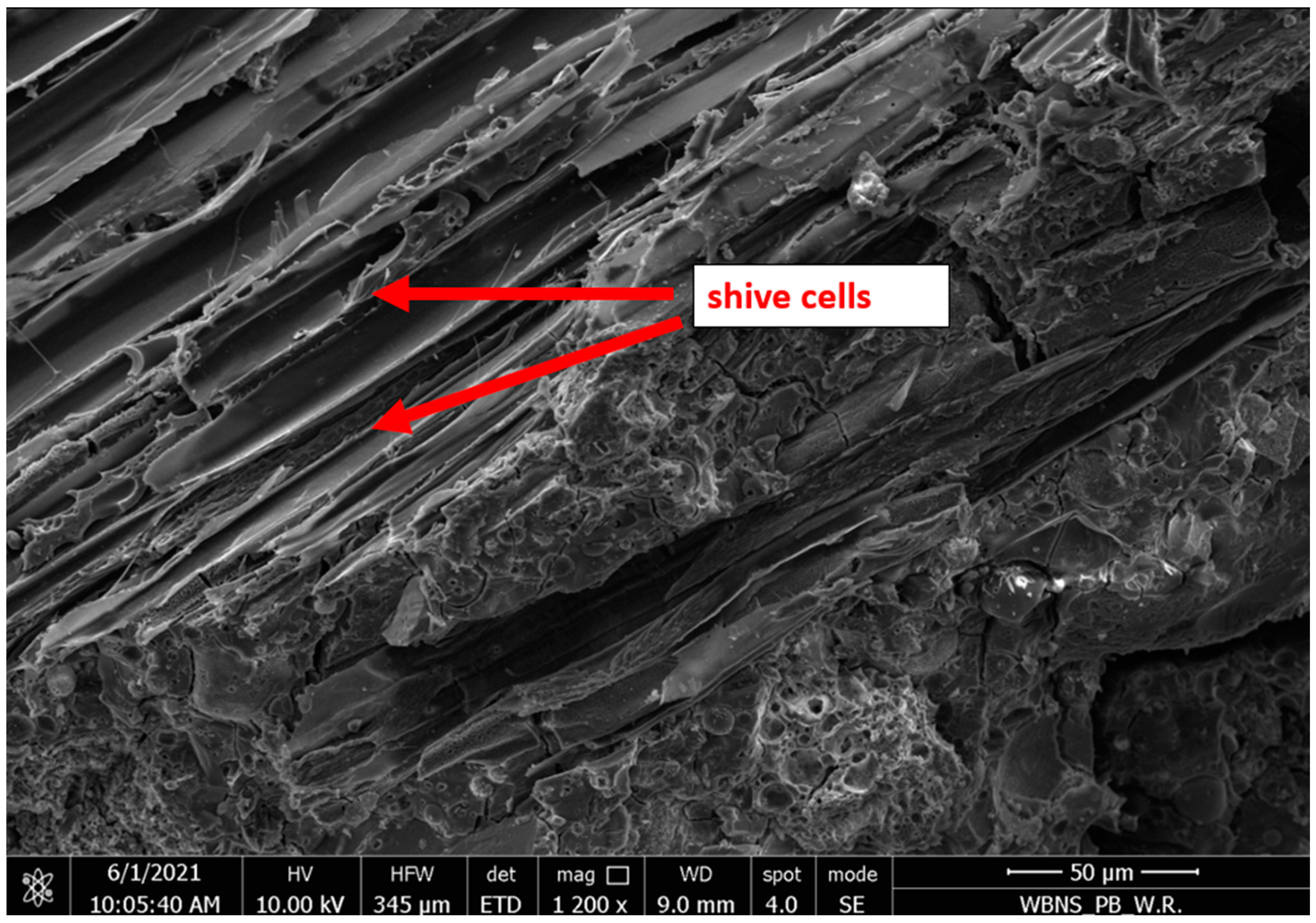 Sustainability 16 06142 g014