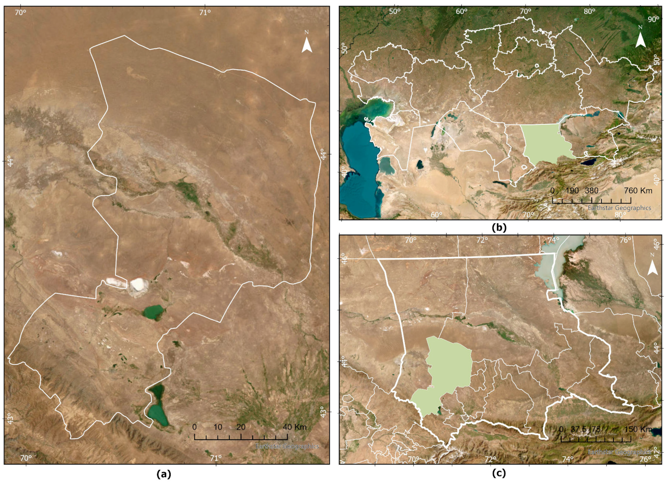 Sustainability 16 06144 g001