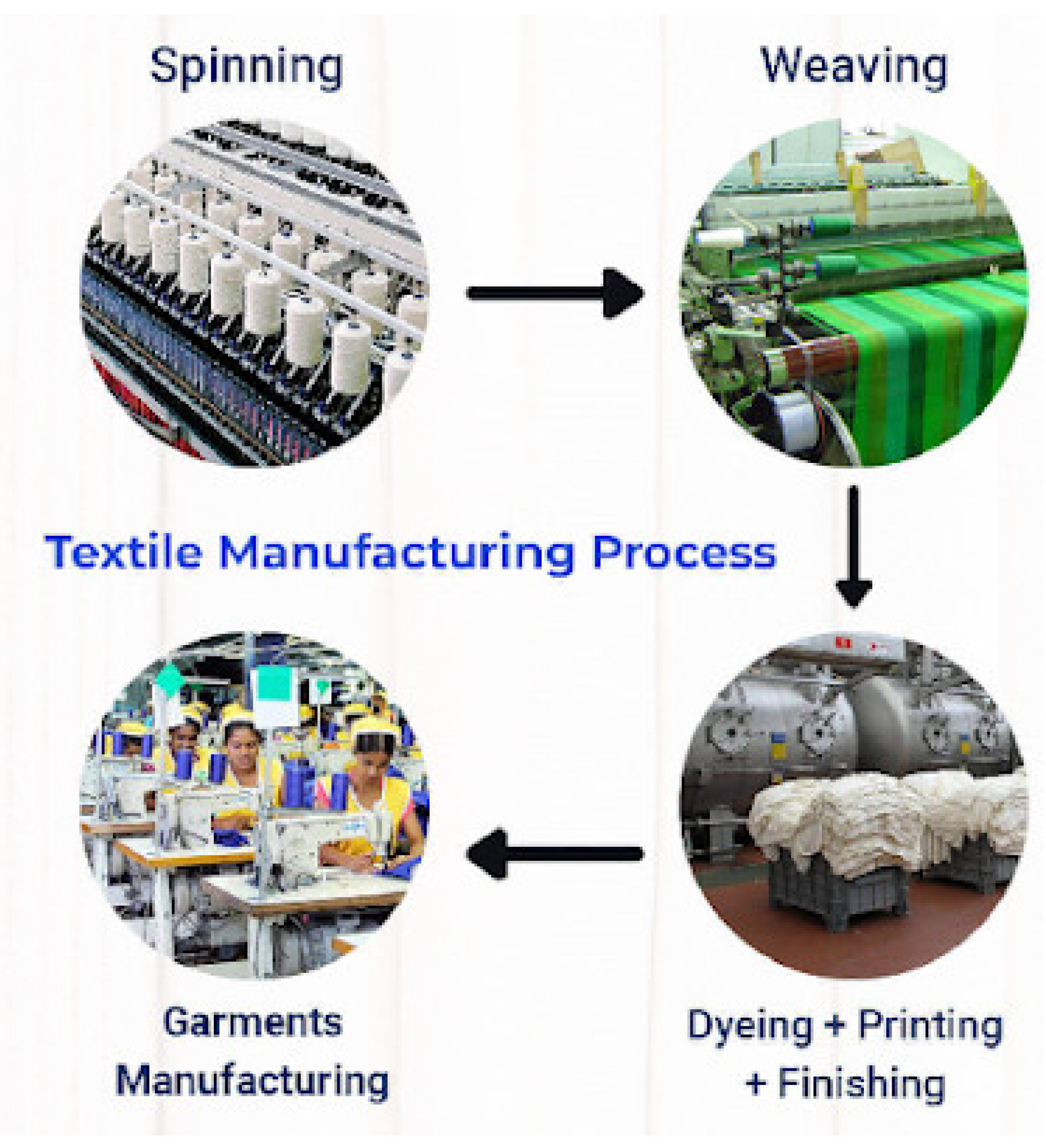 Sustainability 16 06206 g006