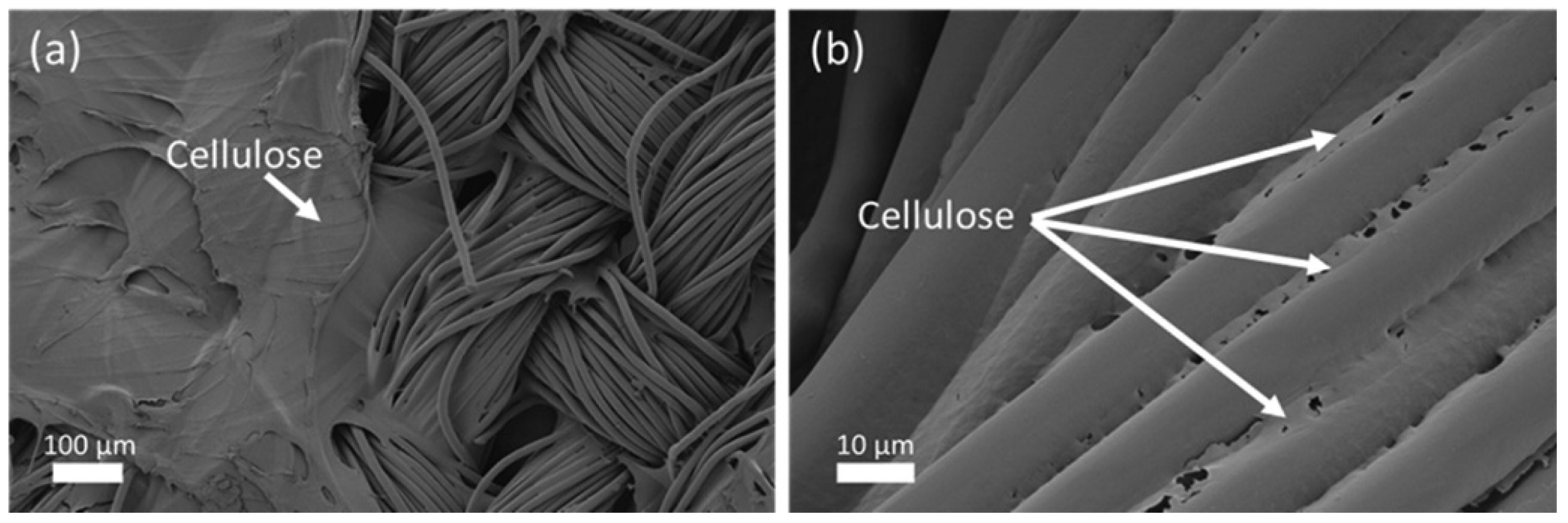 Sustainability 16 06206 g015