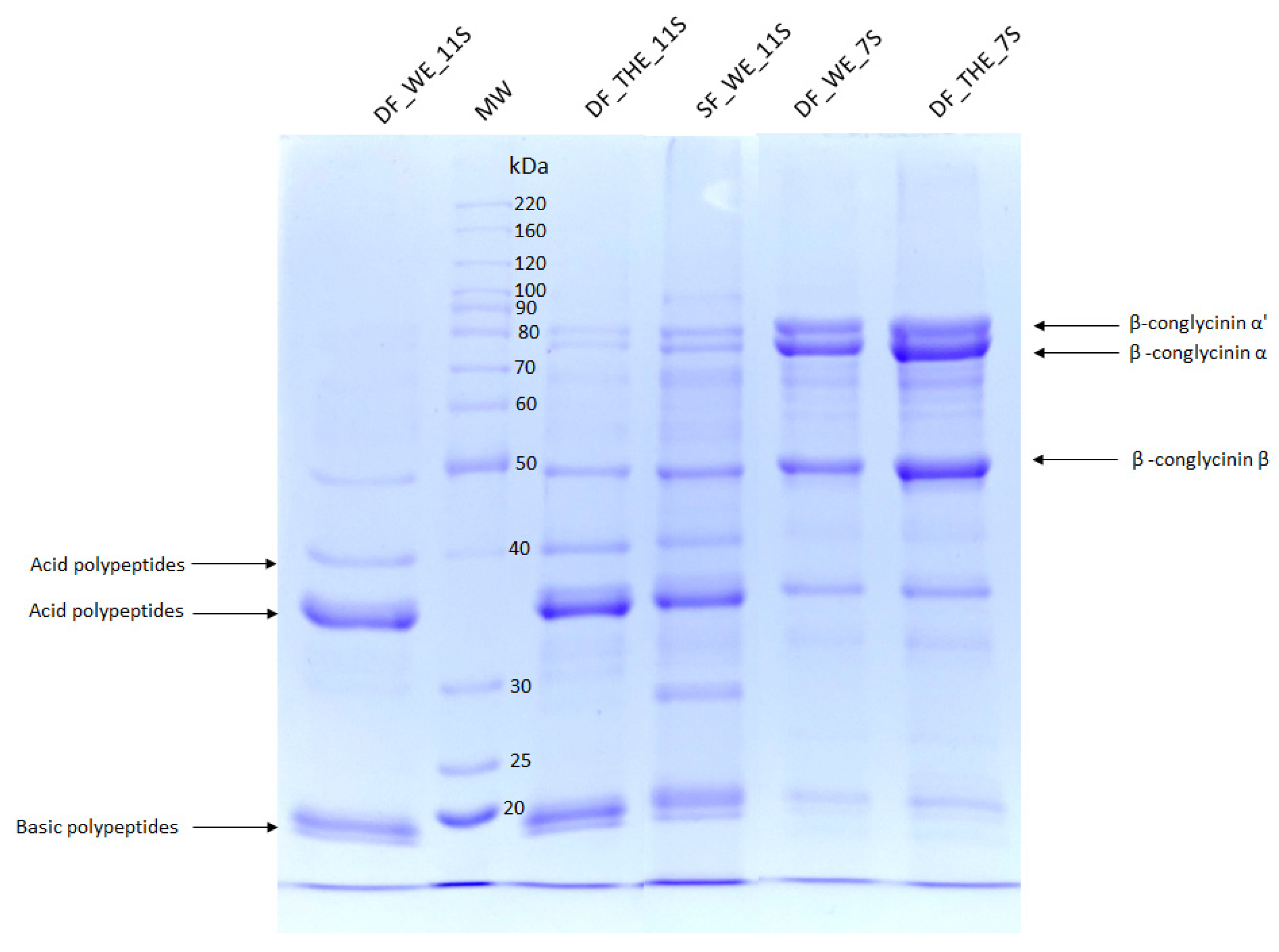 Sustainability 16 06238 g004