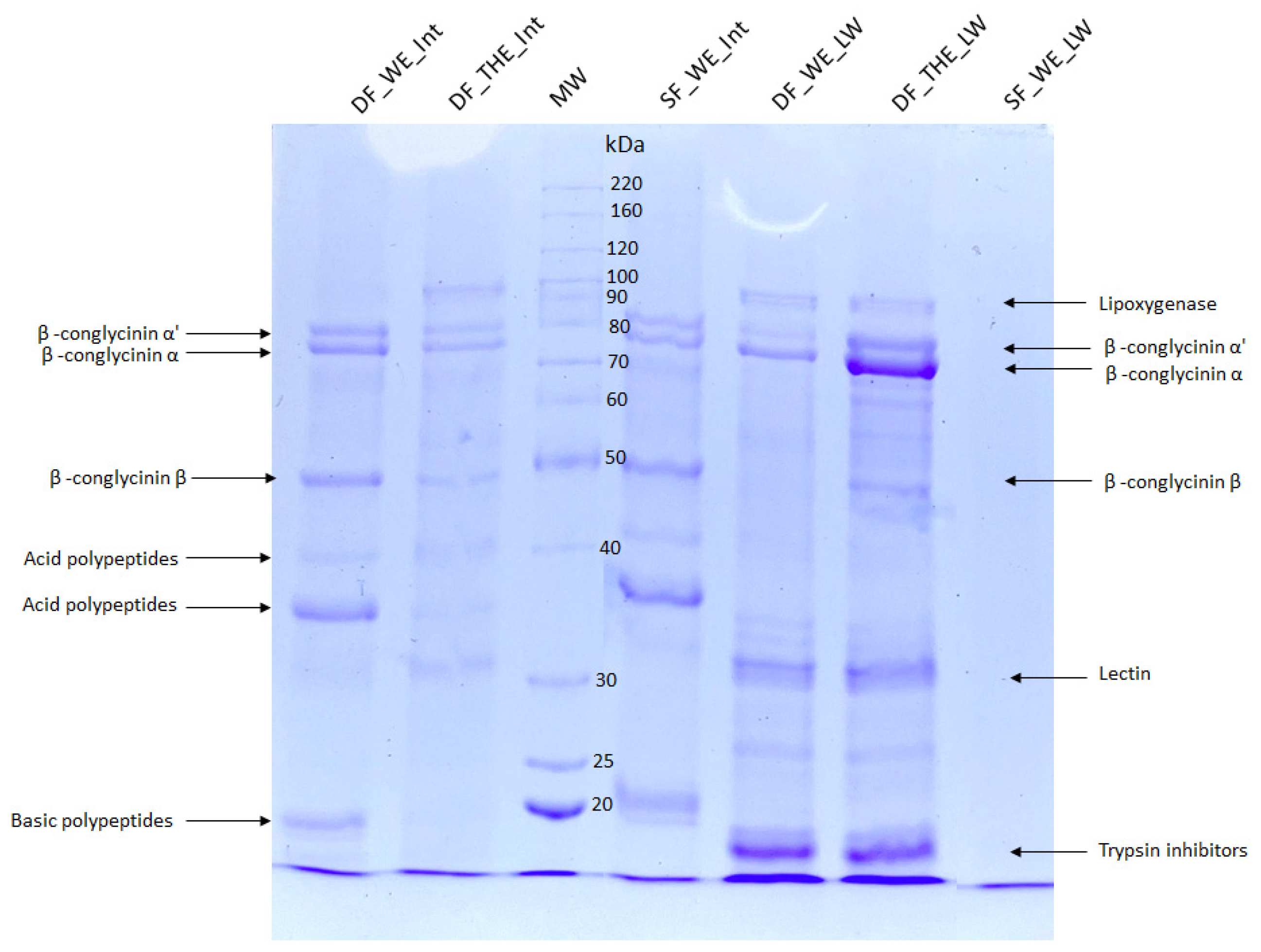 Sustainability 16 06238 g005