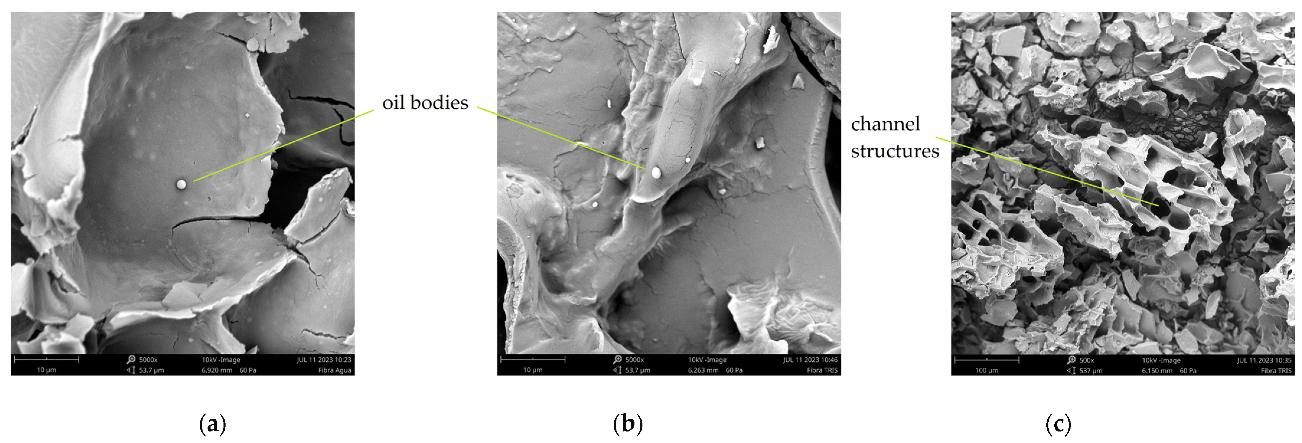 Sustainability 16 06238 g008