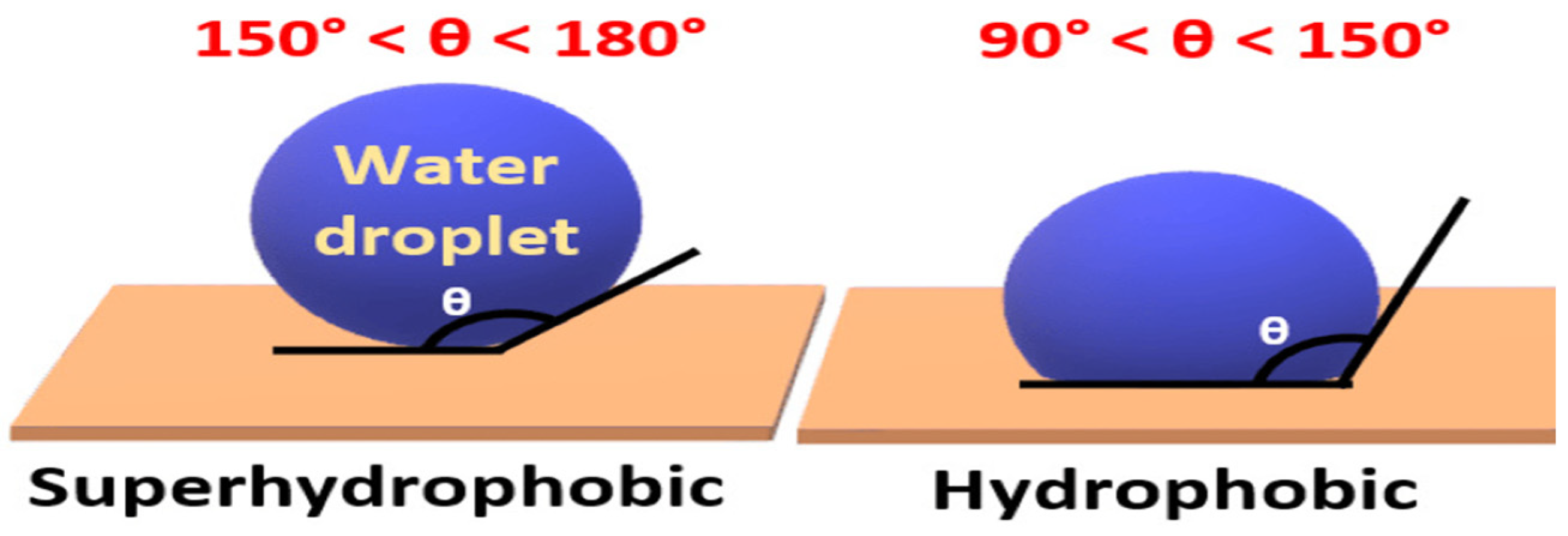 Sustainability 16 06257 g012
