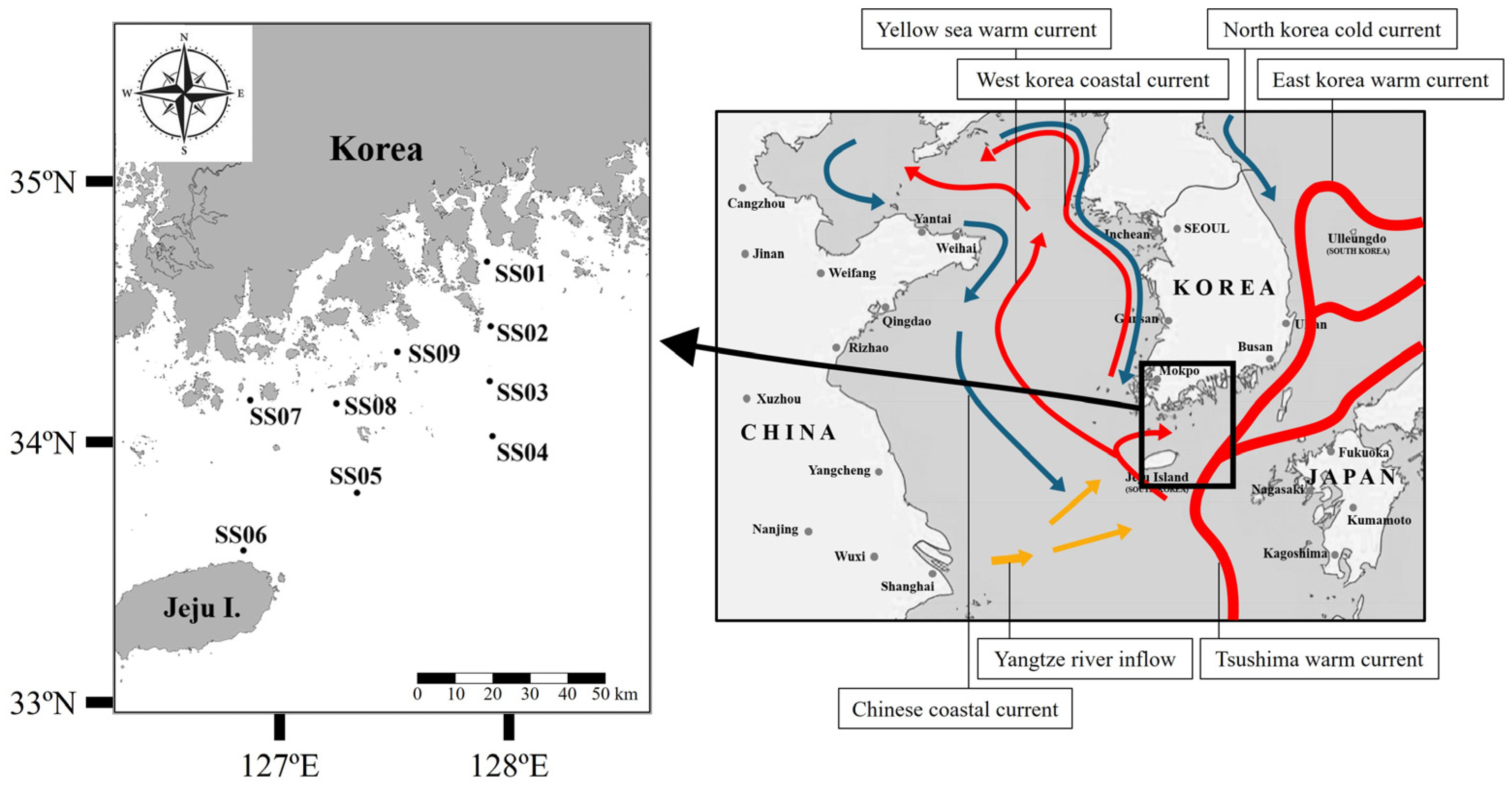 Sustainability 16 06272 g001
