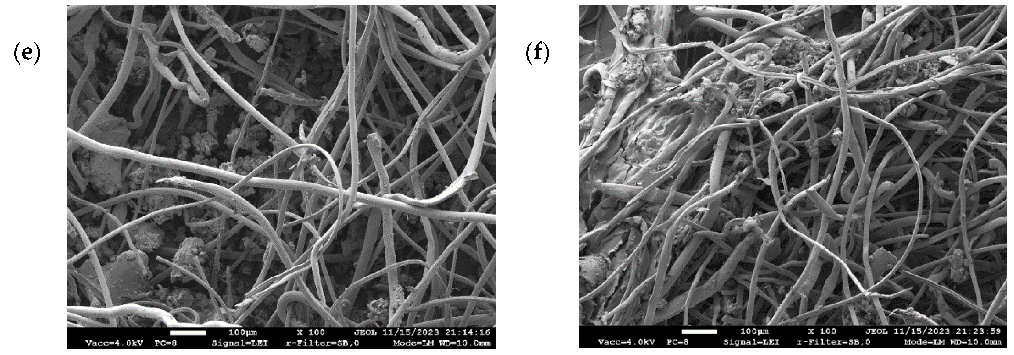 Sustainability 16 06281 g007b