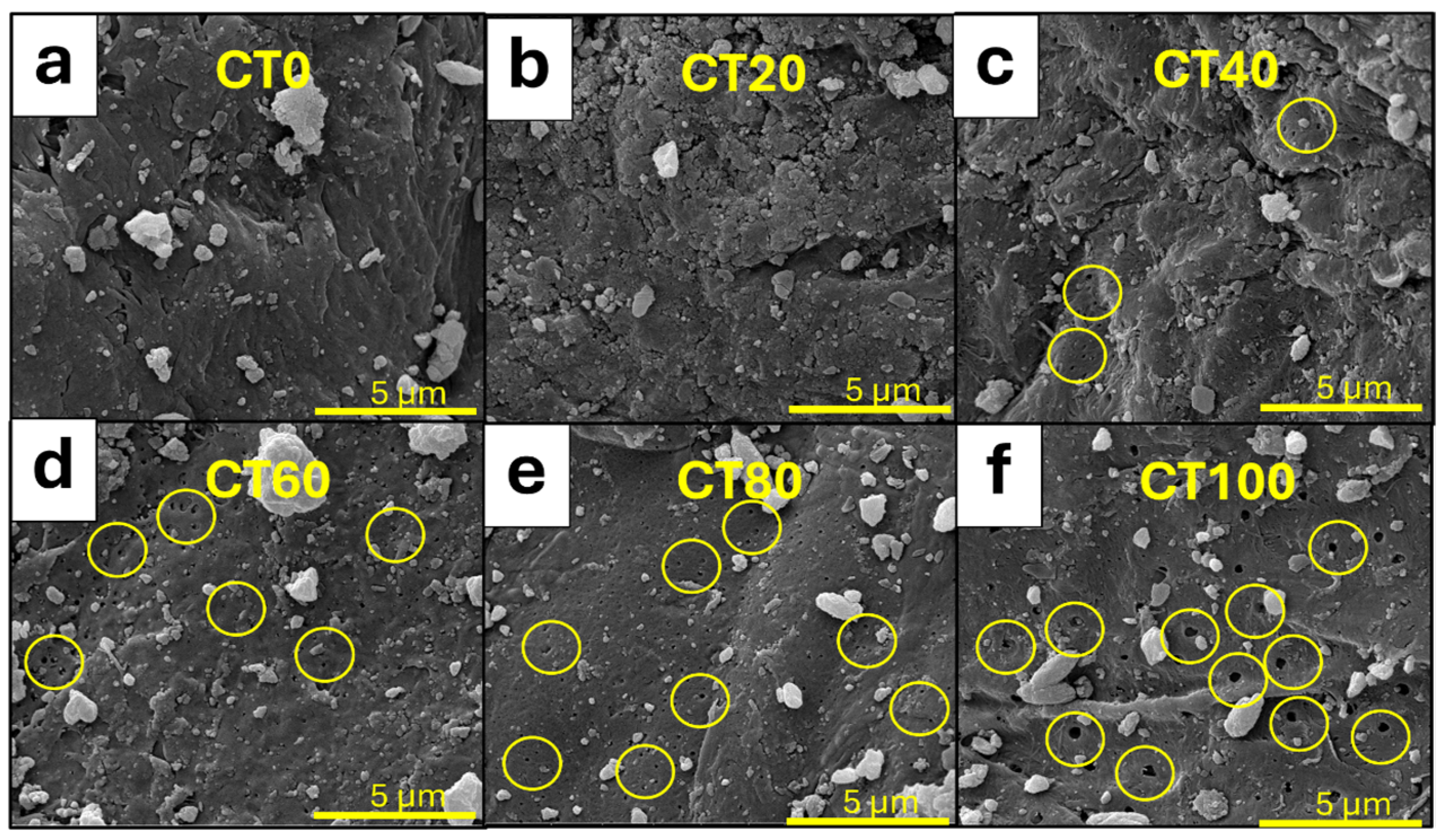 Sustainability 16 06282 g002