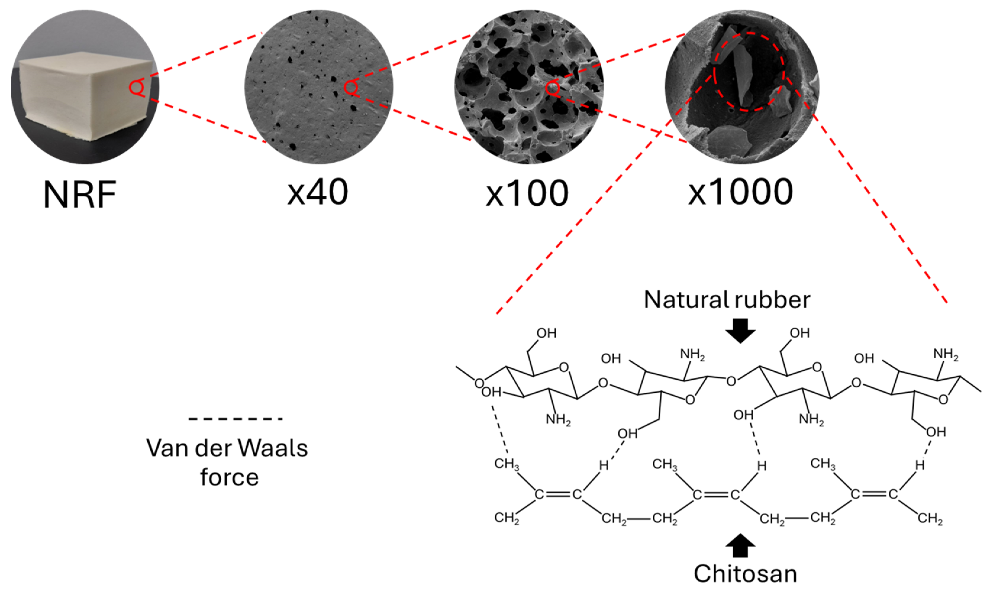 Sustainability 16 06282 g008