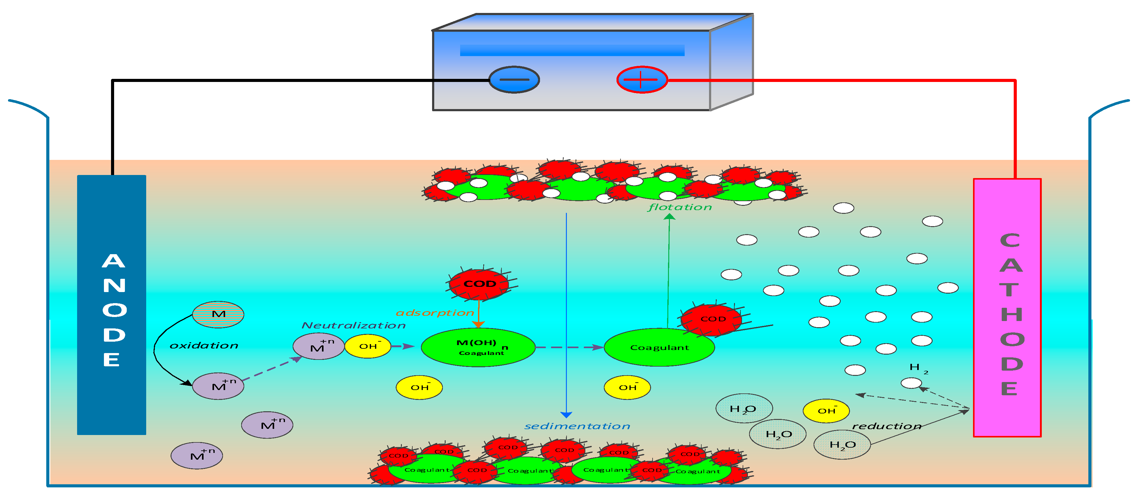 Sustainability 16 06383 g001