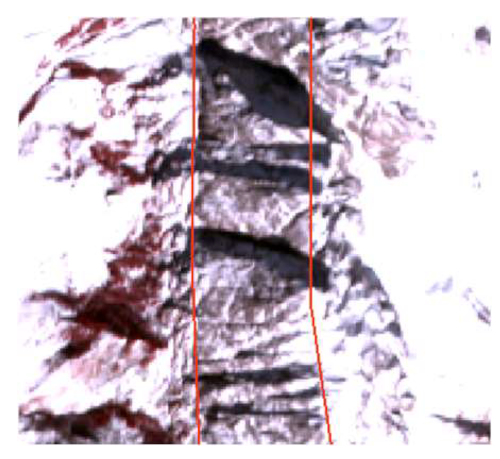Sustainability 16 06387 i003