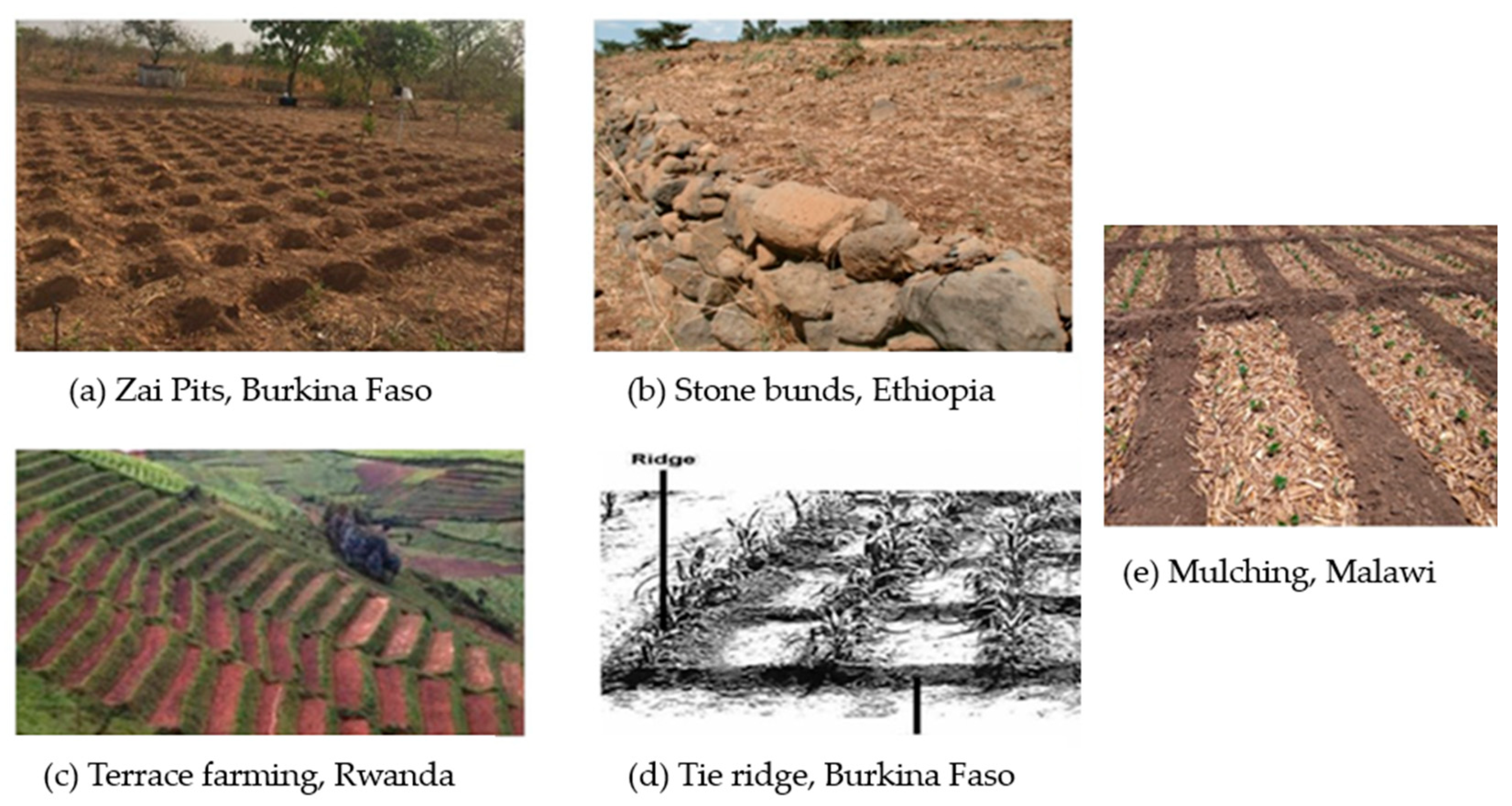 Sustainability 16 06427 g002