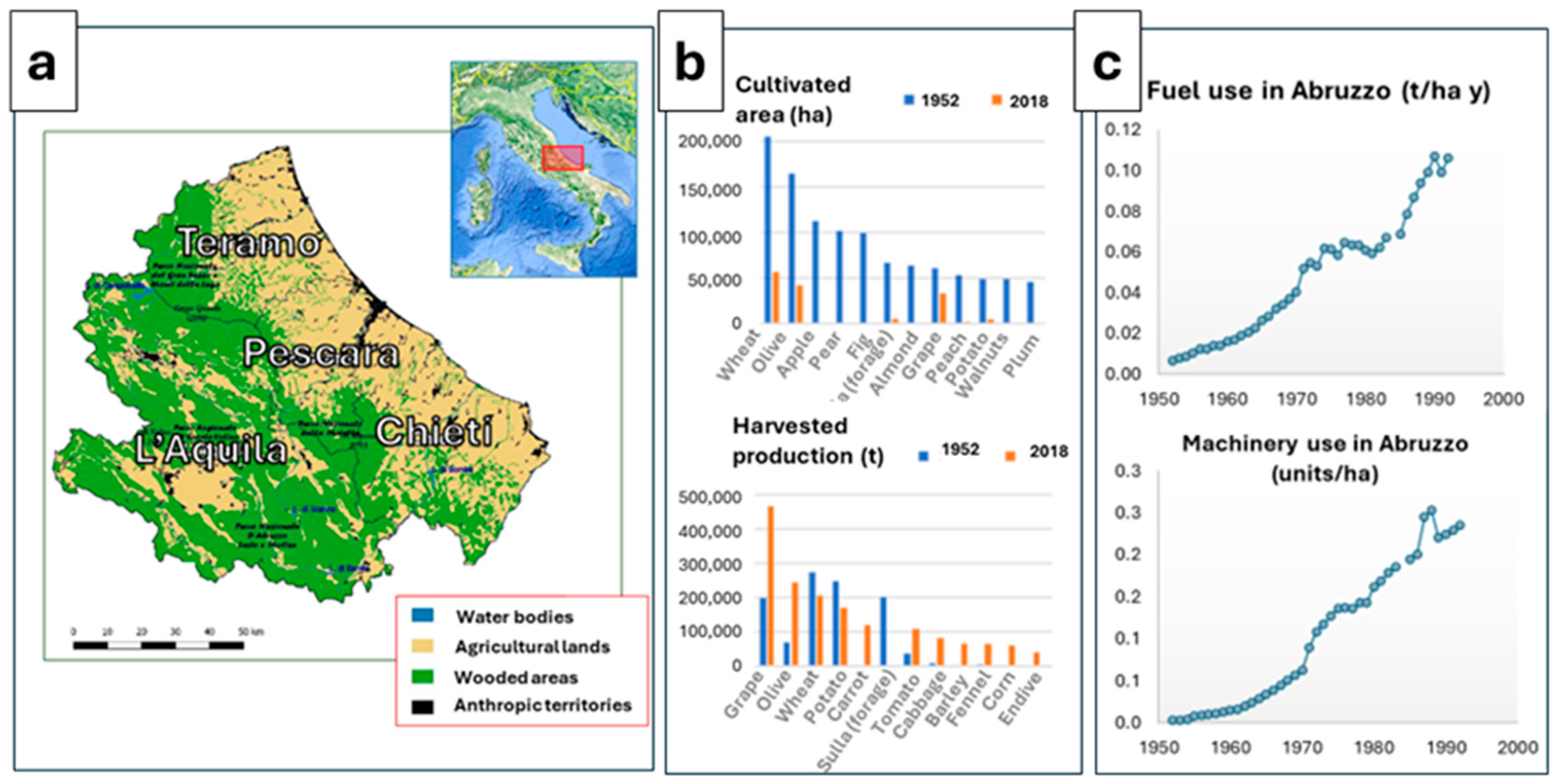 Sustainability 16 06462 g001