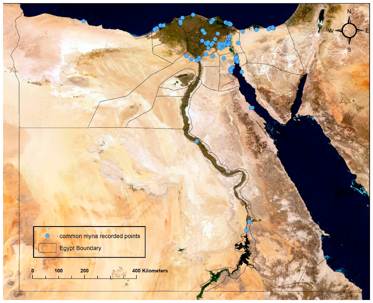 Sustainability 16 06495 g001