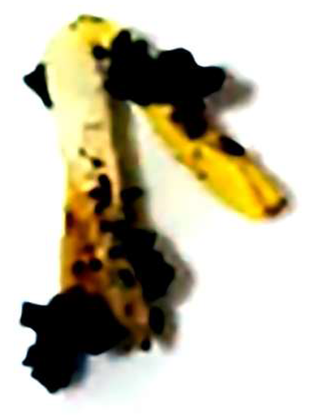 Sustainability 16 06593 g012