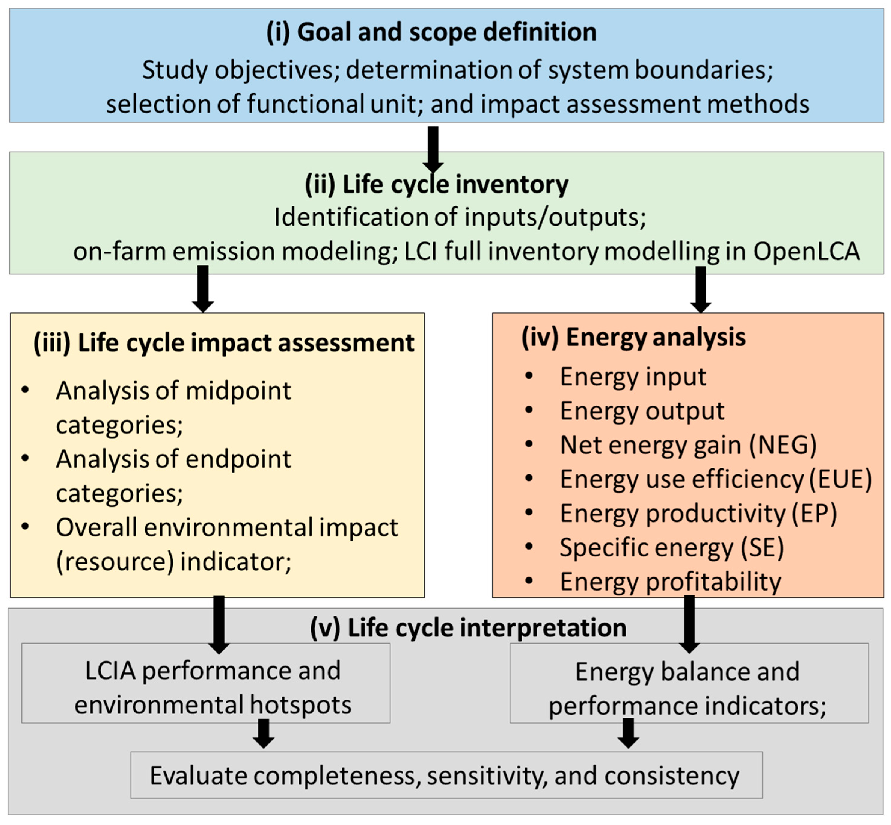 Sustainability 16 06637 g001
