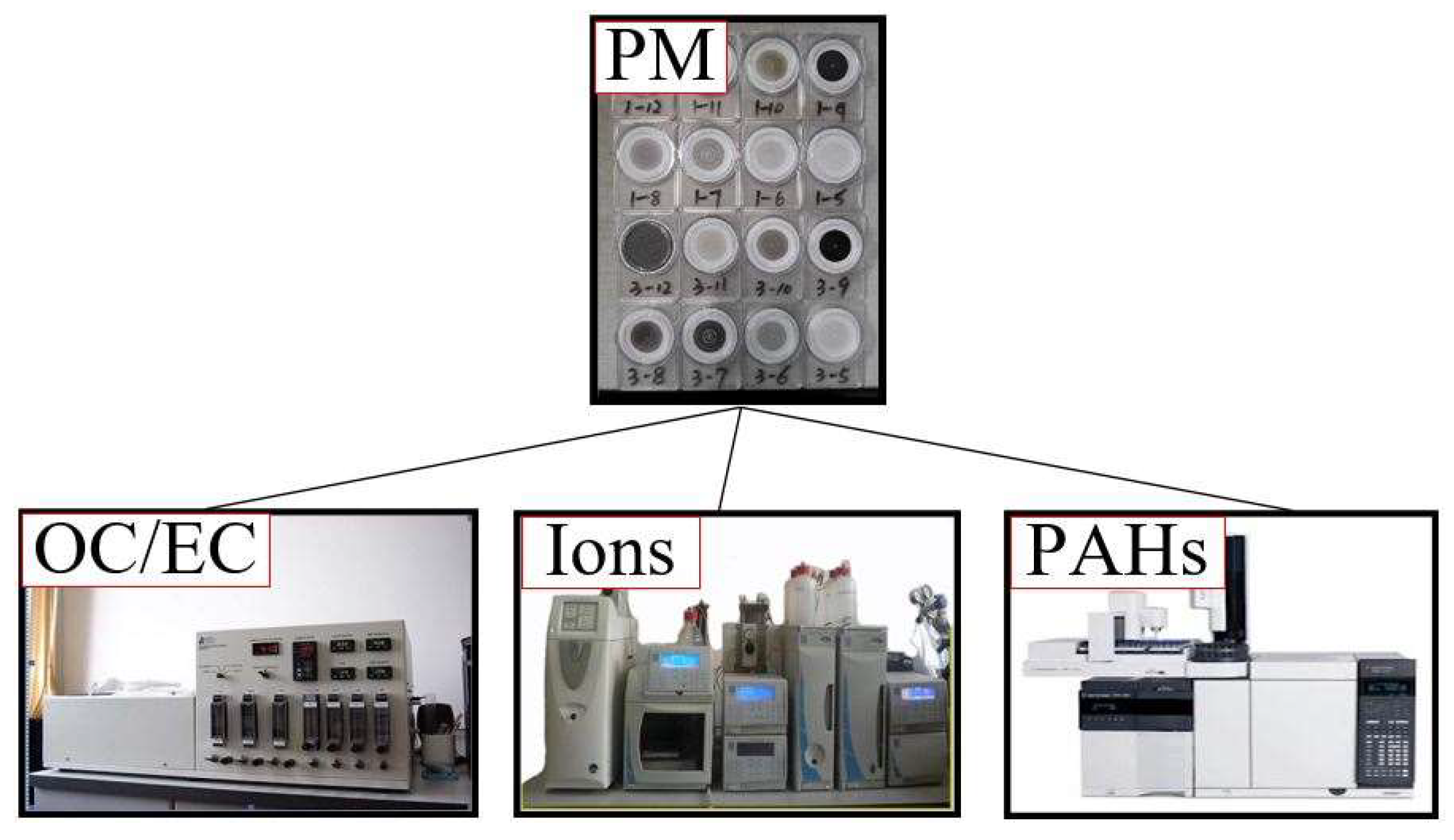 Sustainability 16 06642 g003