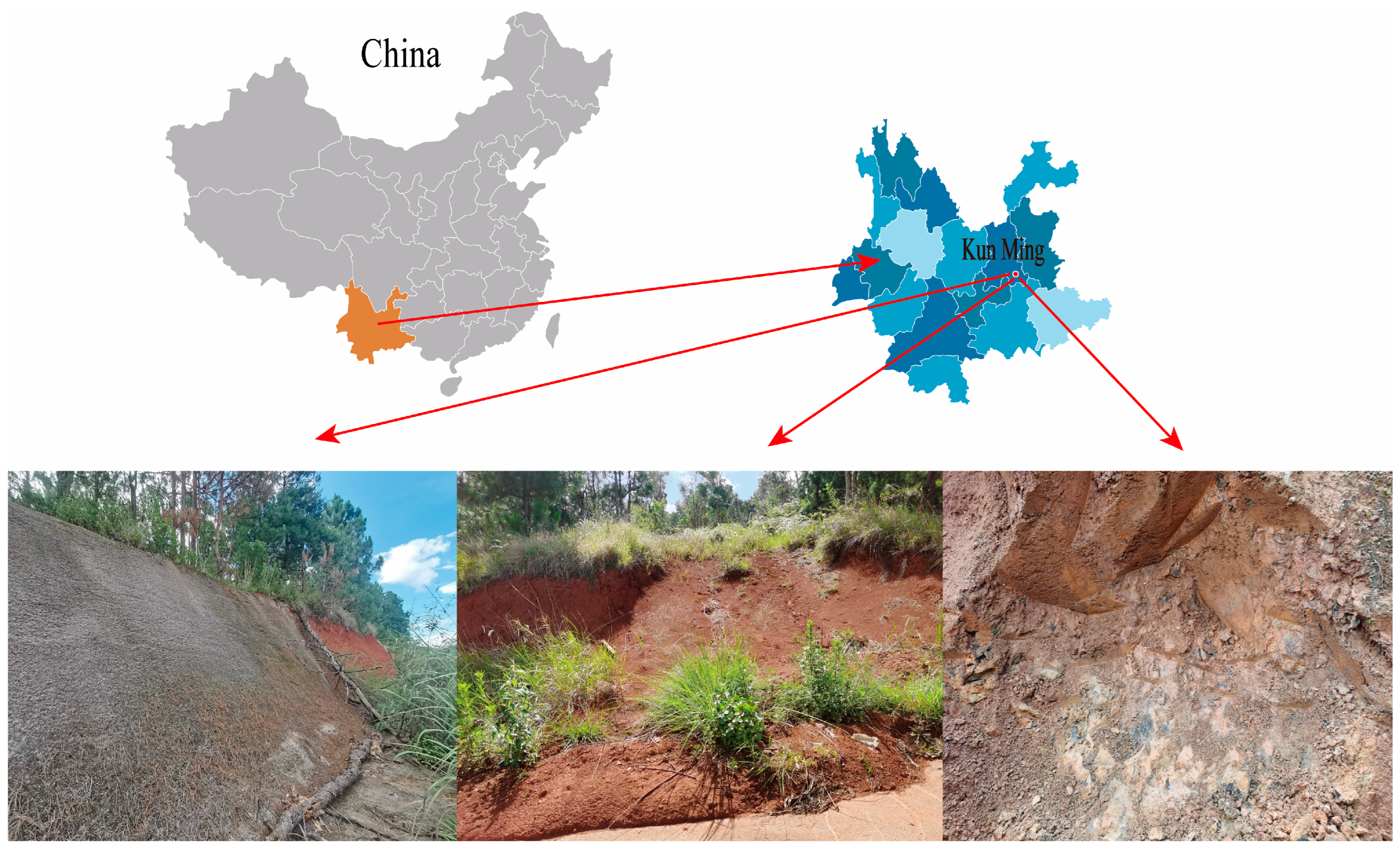 Sustainability 16 06676 g001