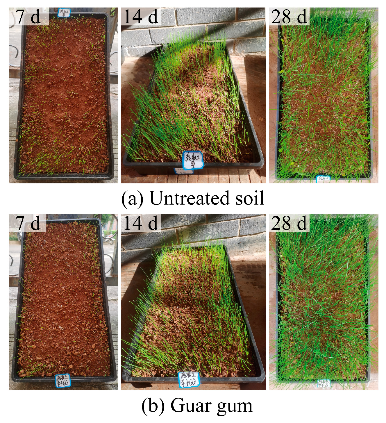 Sustainability 16 06676 g013