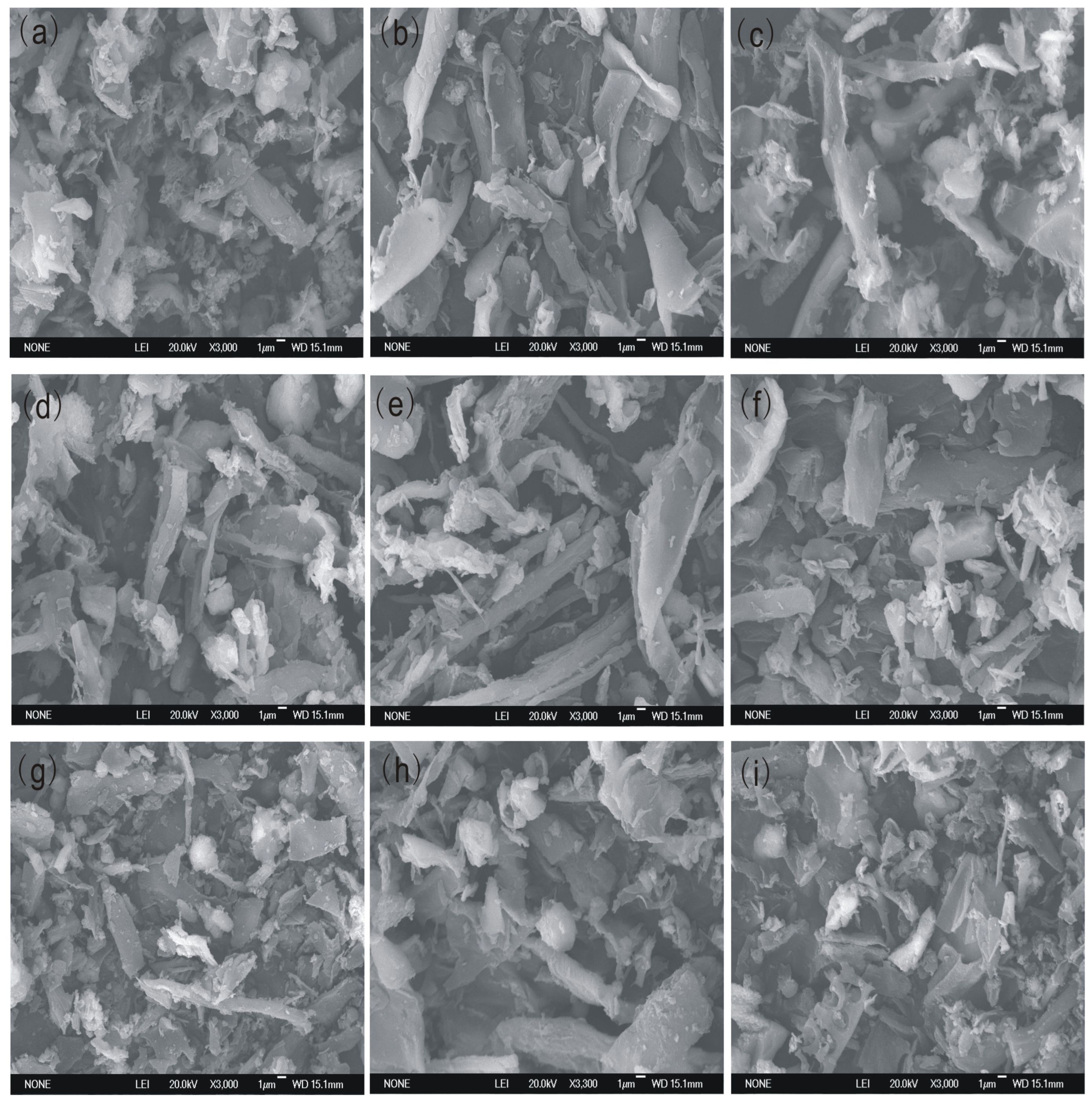 Sustainability 16 06677 g012