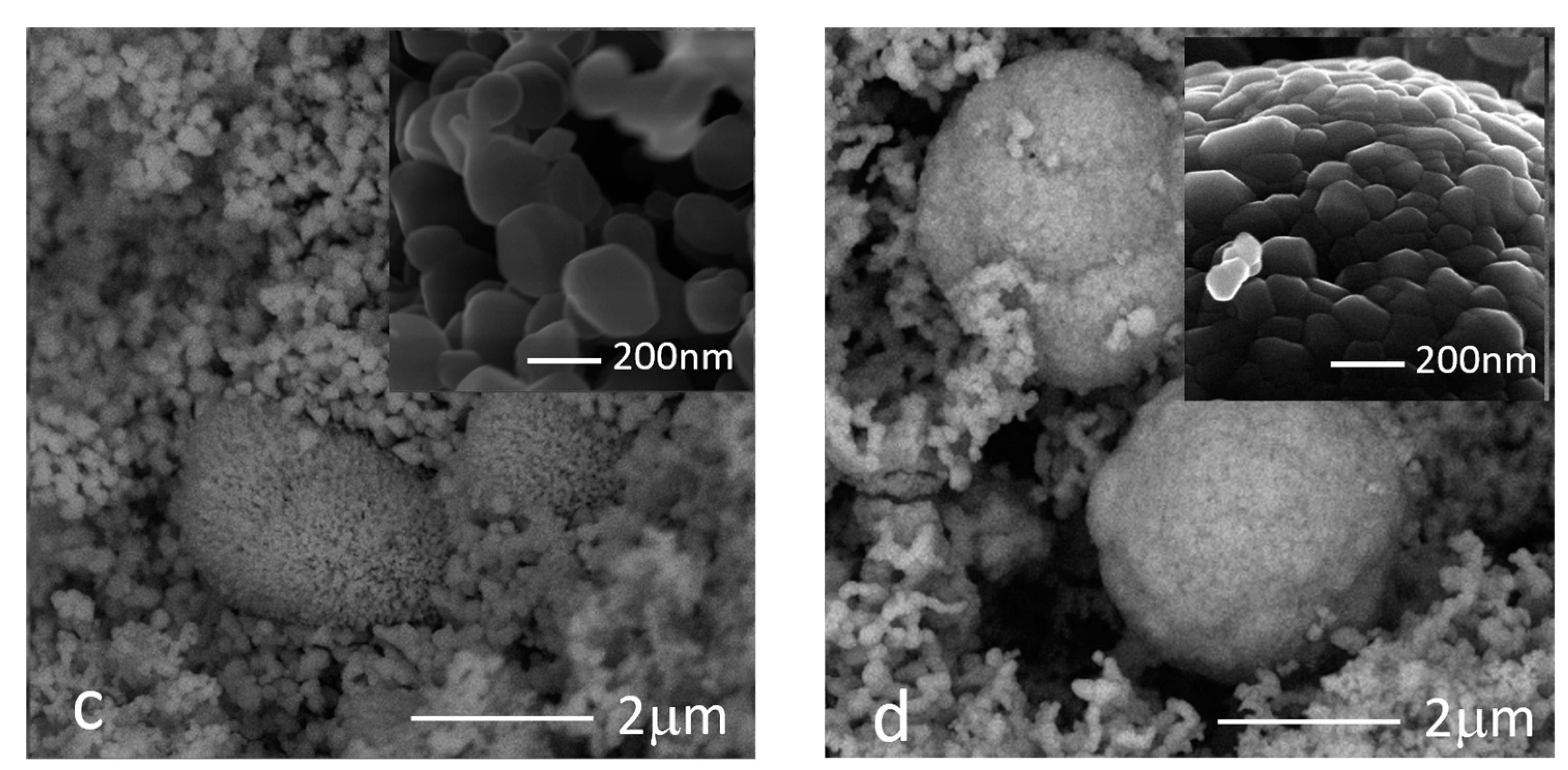 Sustainability 16 06810 g006b