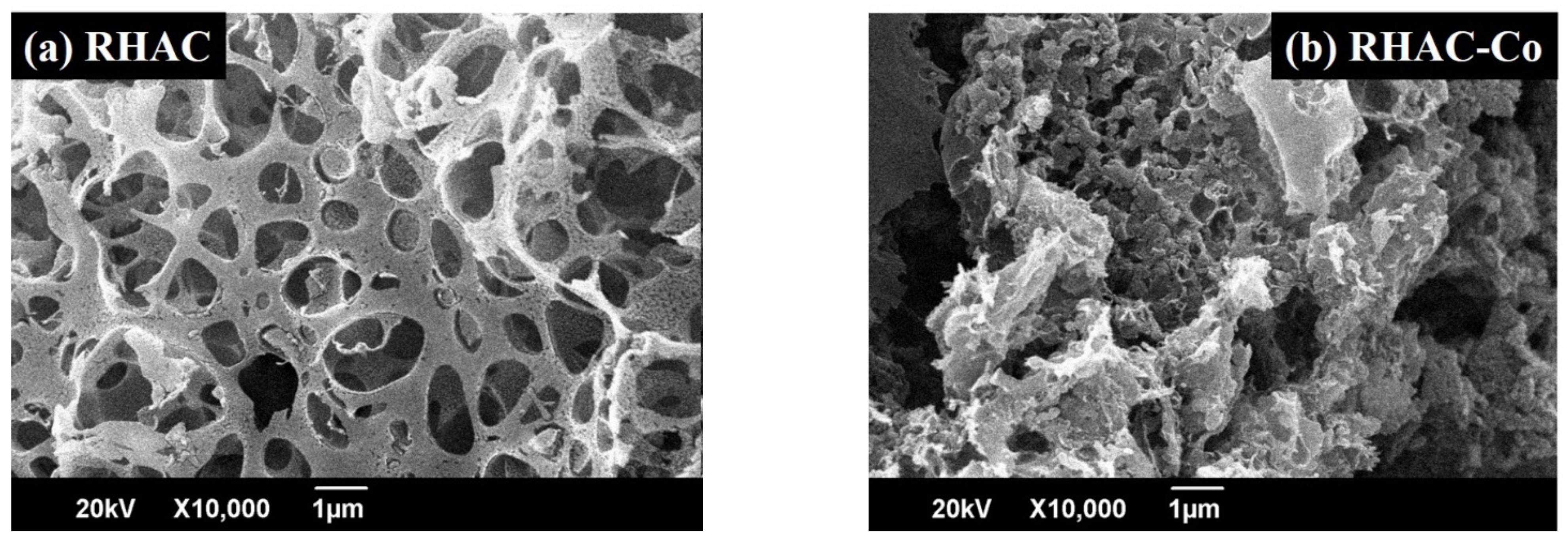 Sustainability 16 07275 g005